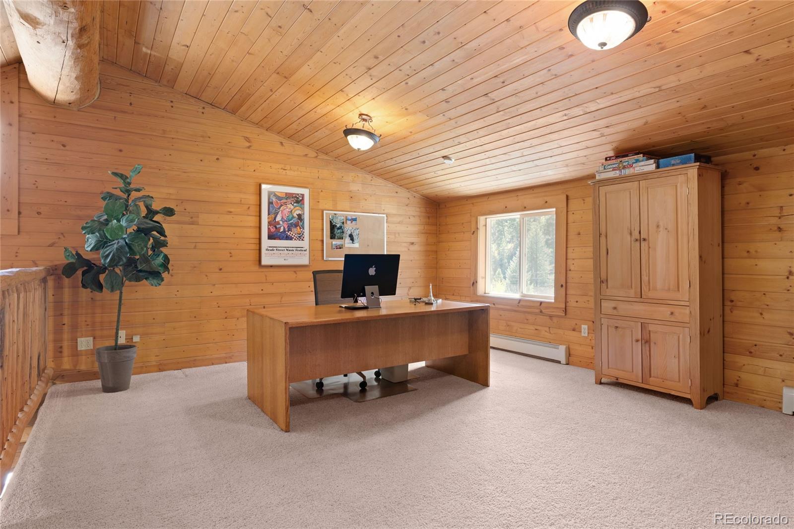 MLS Image #8 for 644  mill creek road,idaho springs, Colorado