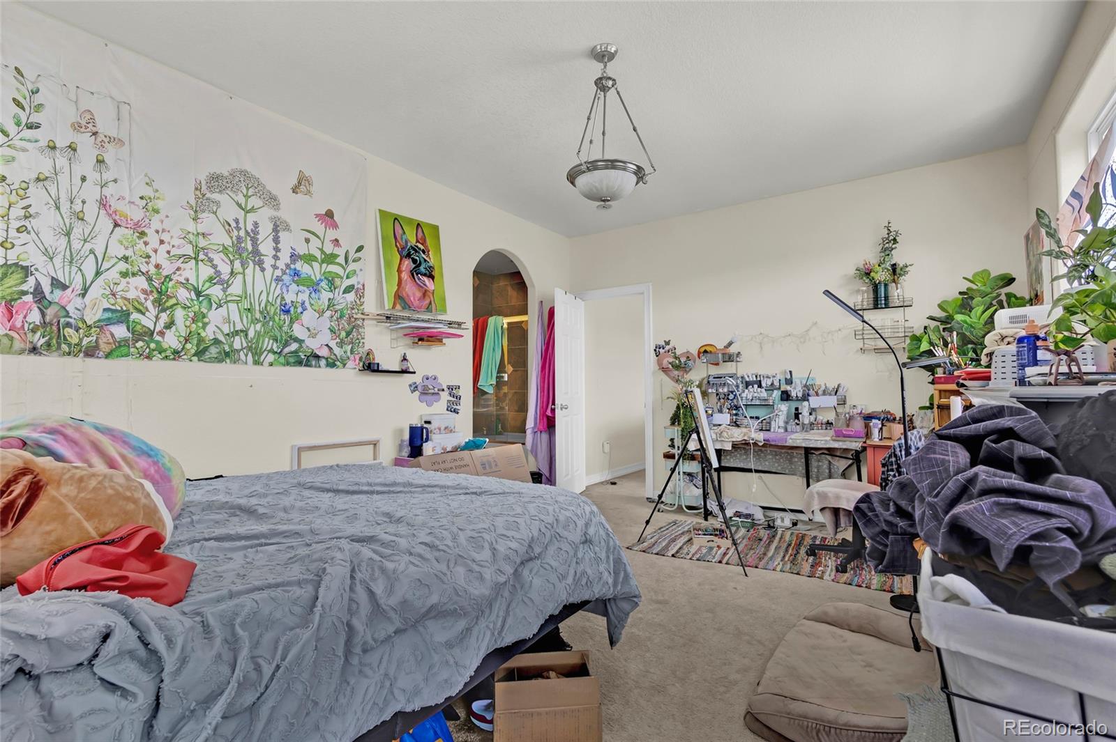 MLS Image #17 for 785  martin drive,central city, Colorado
