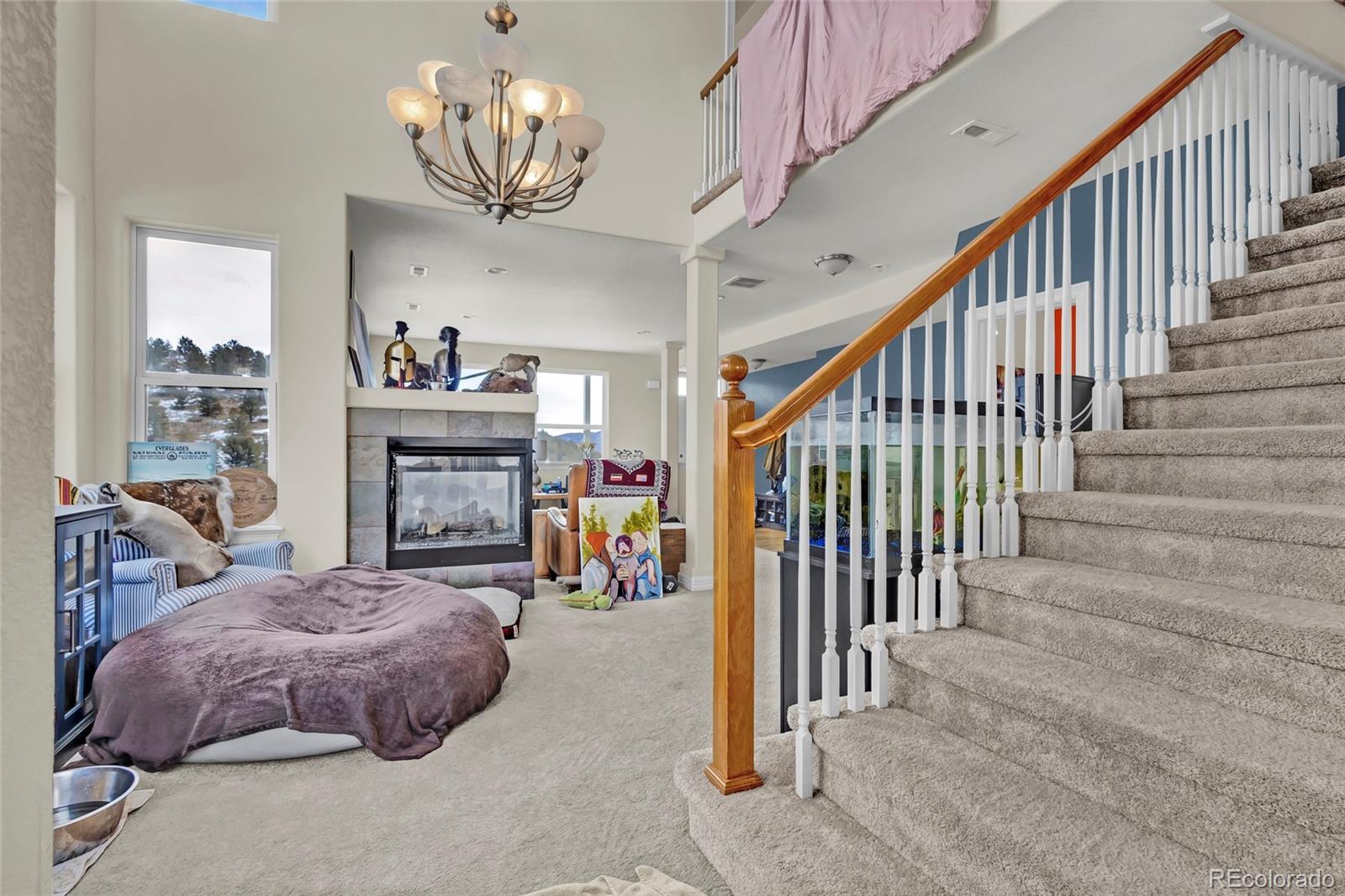 MLS Image #19 for 785  martin drive,central city, Colorado