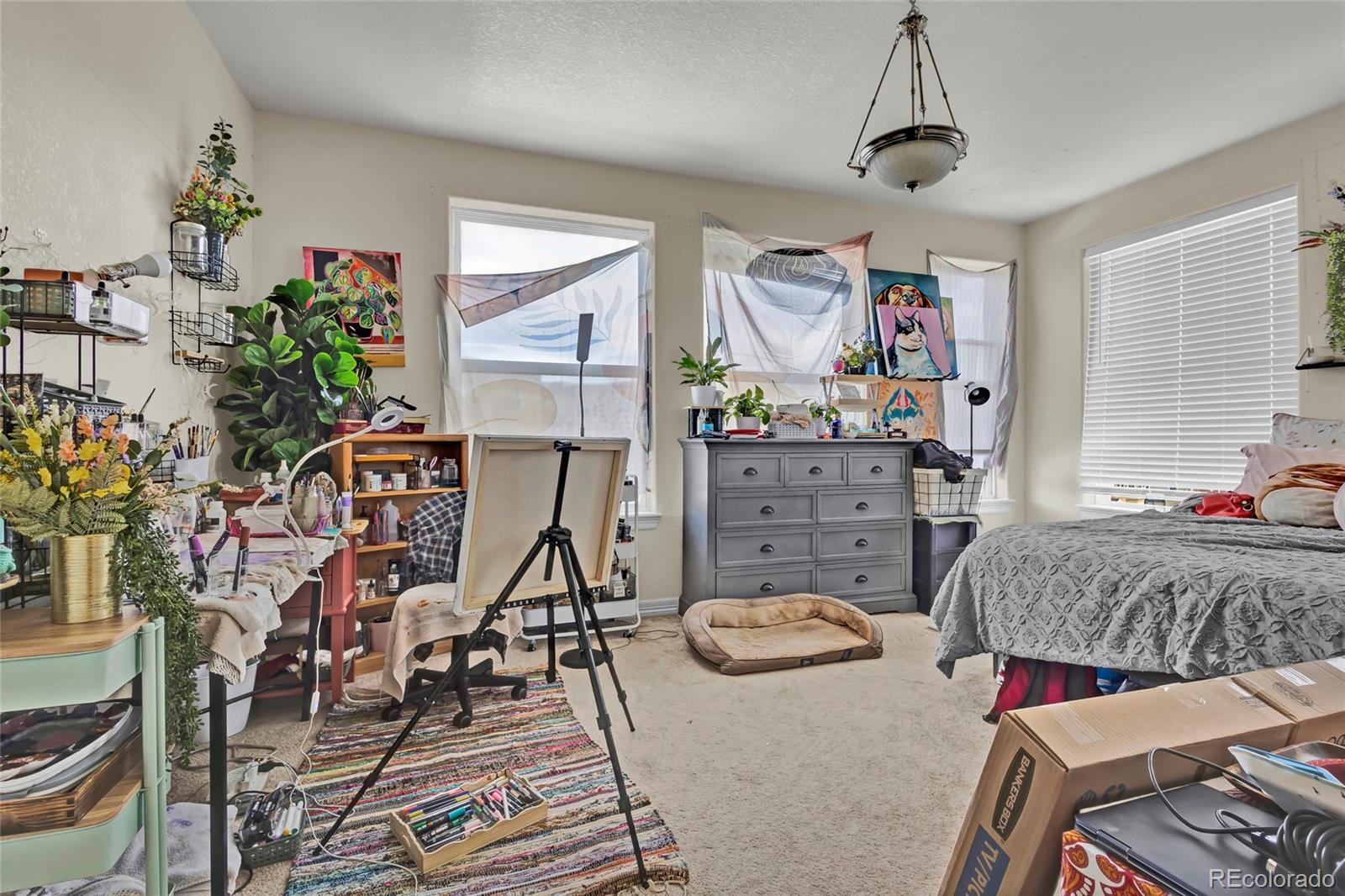 MLS Image #21 for 785  martin drive,central city, Colorado
