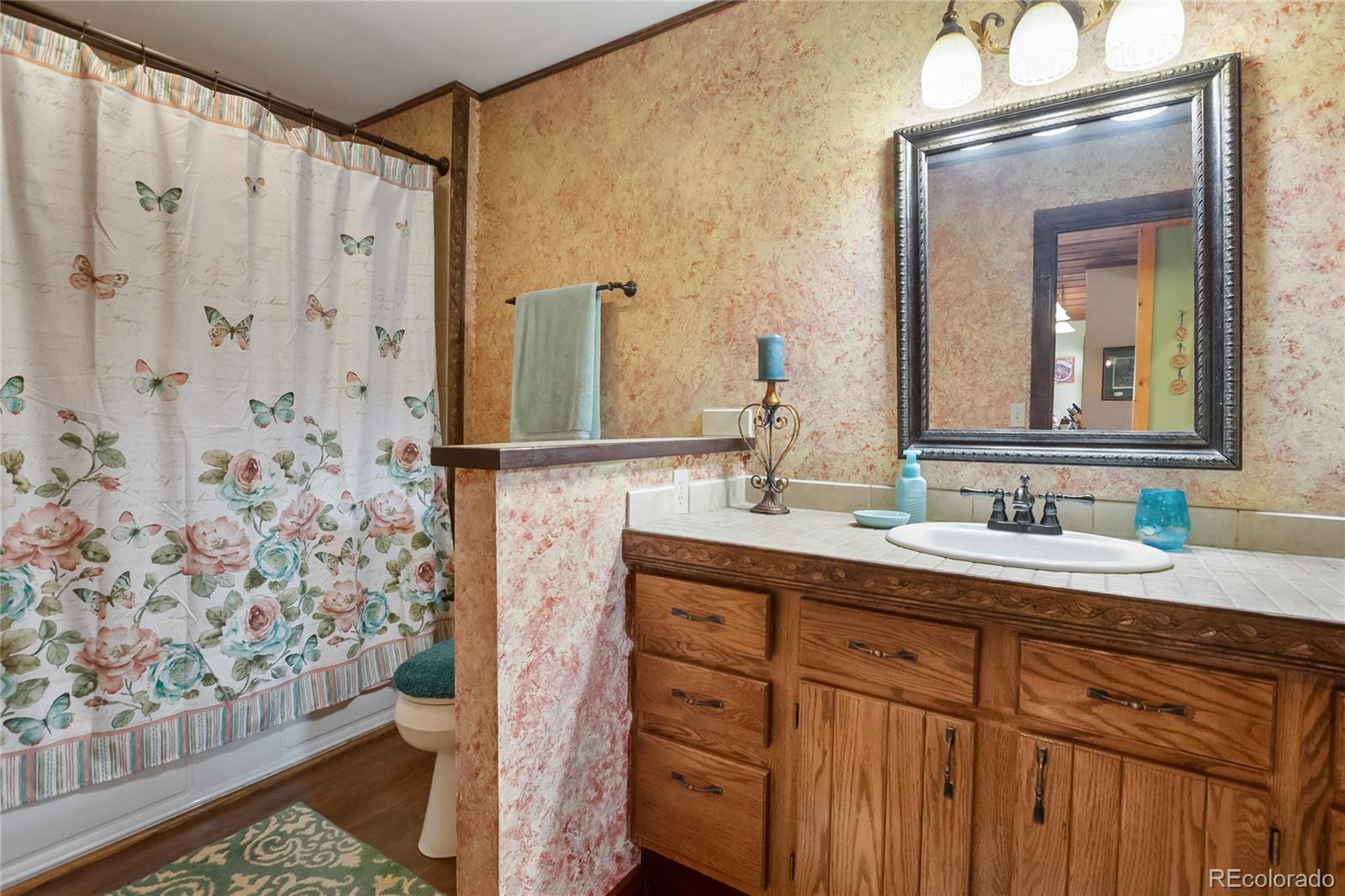 MLS Image #18 for 381  saddleback creek drive,florissant, Colorado