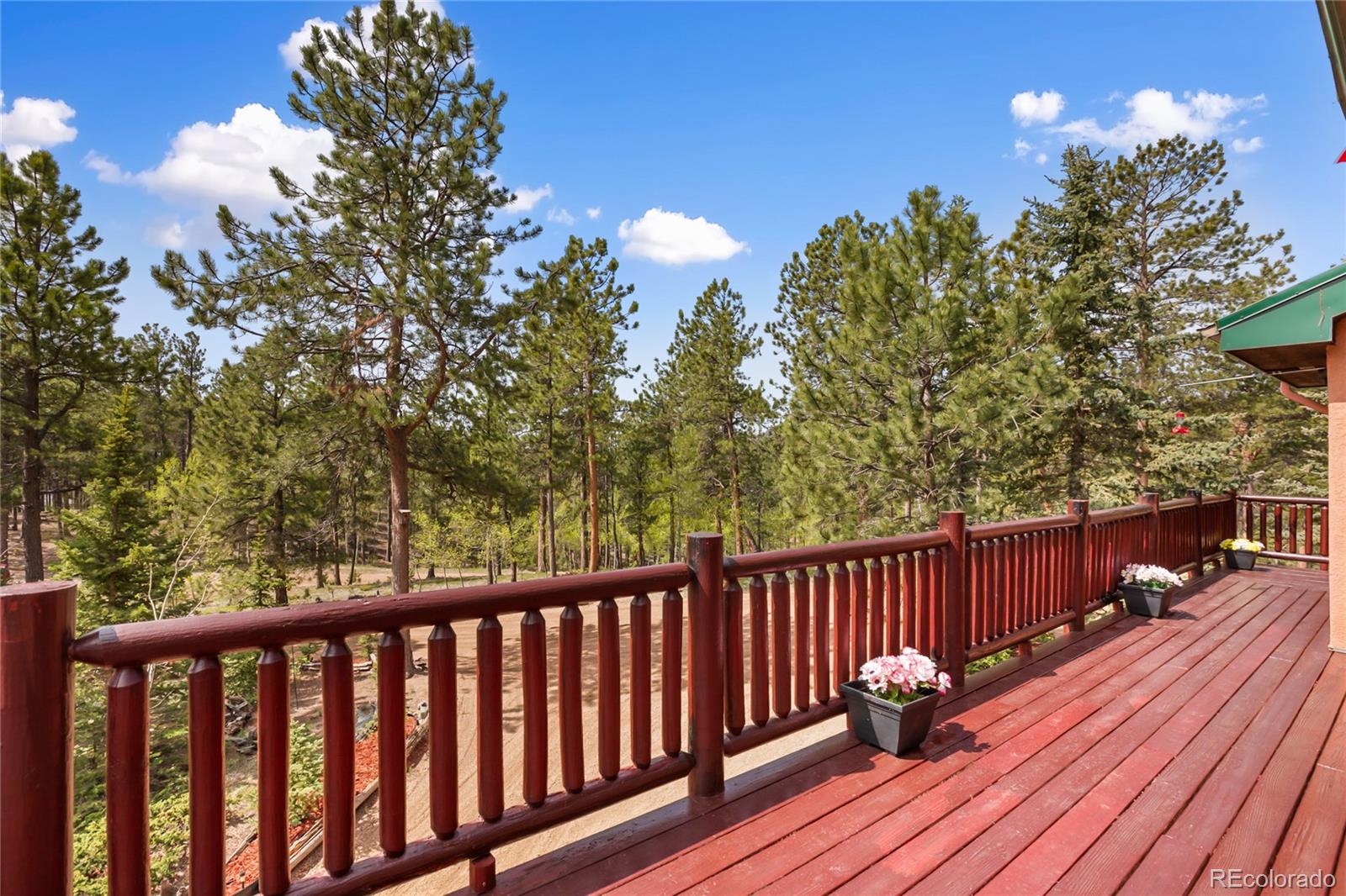 MLS Image #2 for 381  saddleback creek drive,florissant, Colorado
