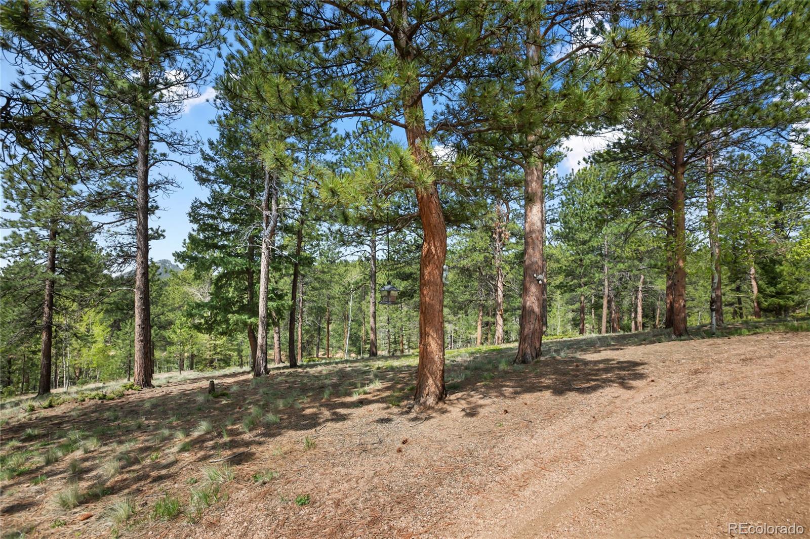 MLS Image #38 for 381  saddleback creek drive,florissant, Colorado