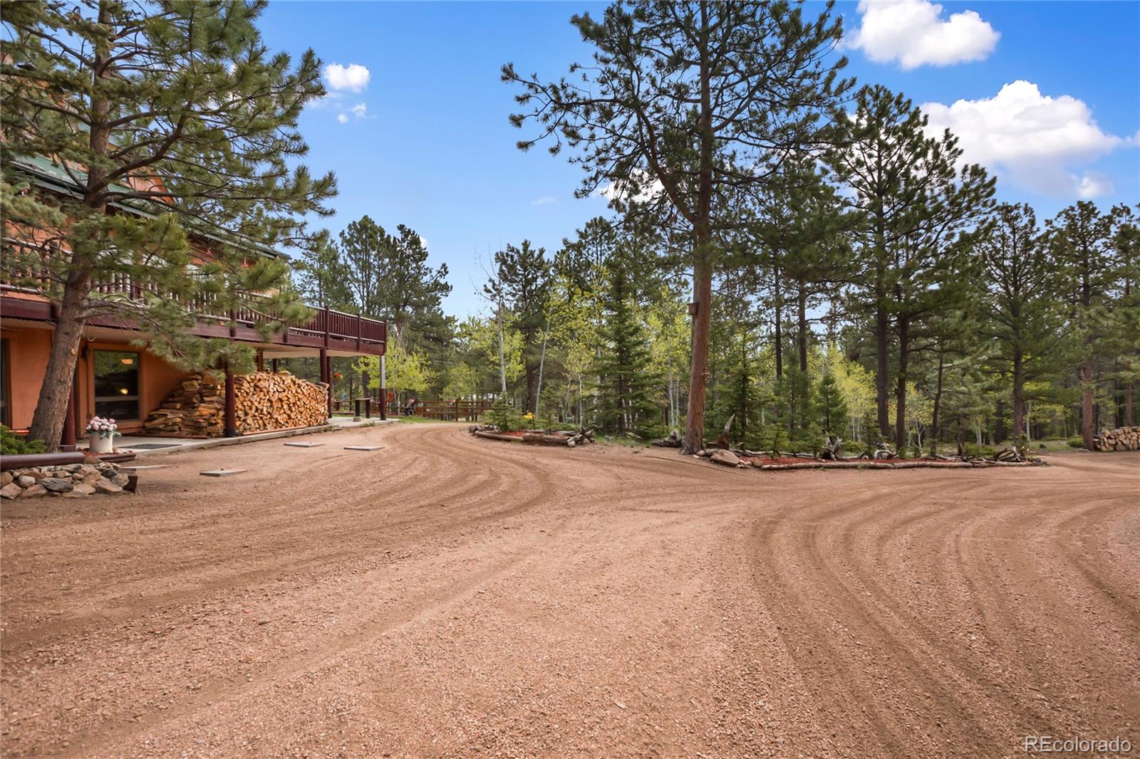 MLS Image #6 for 381  saddleback creek drive,florissant, Colorado