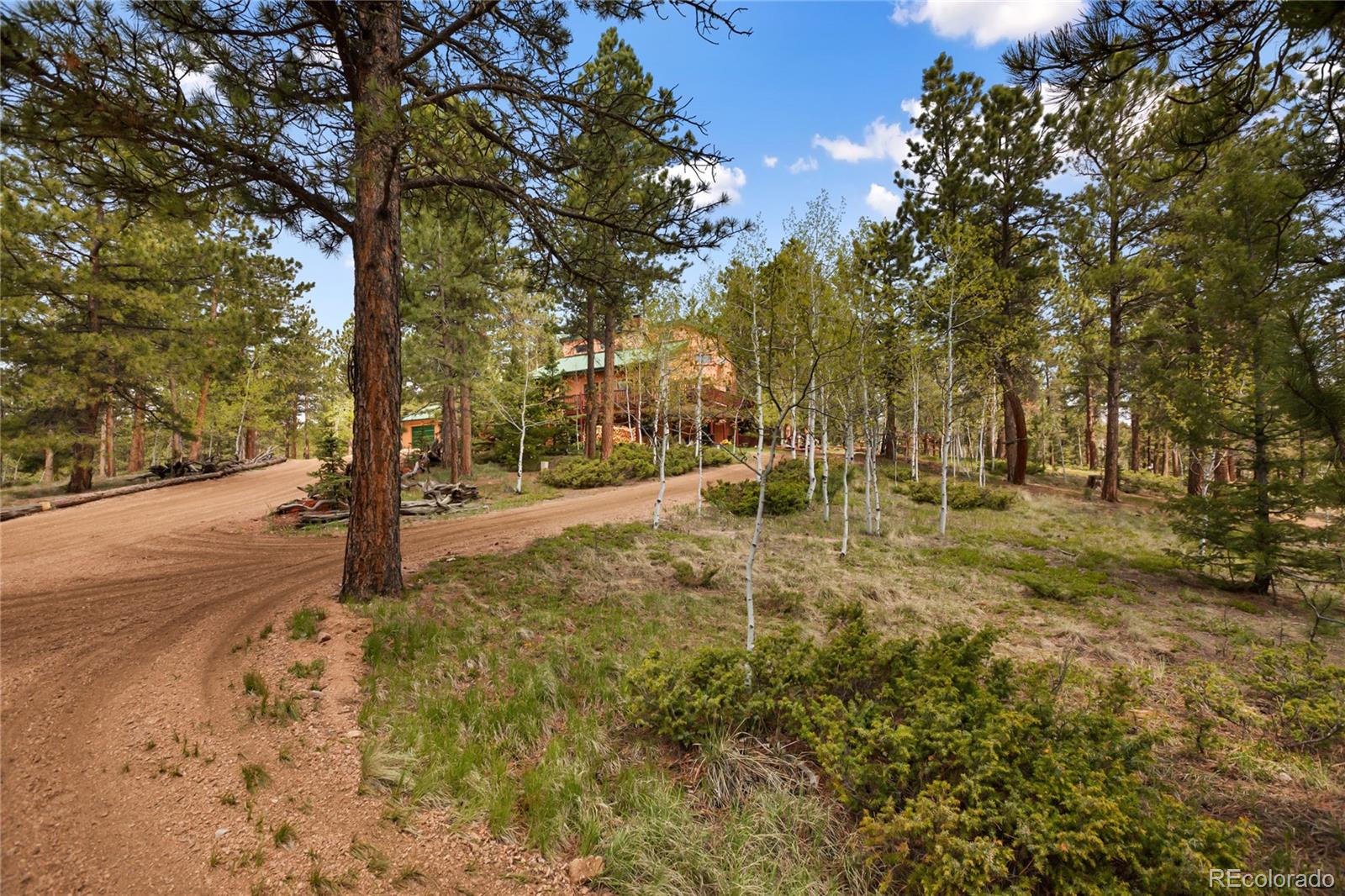 MLS Image #7 for 381  saddleback creek drive,florissant, Colorado