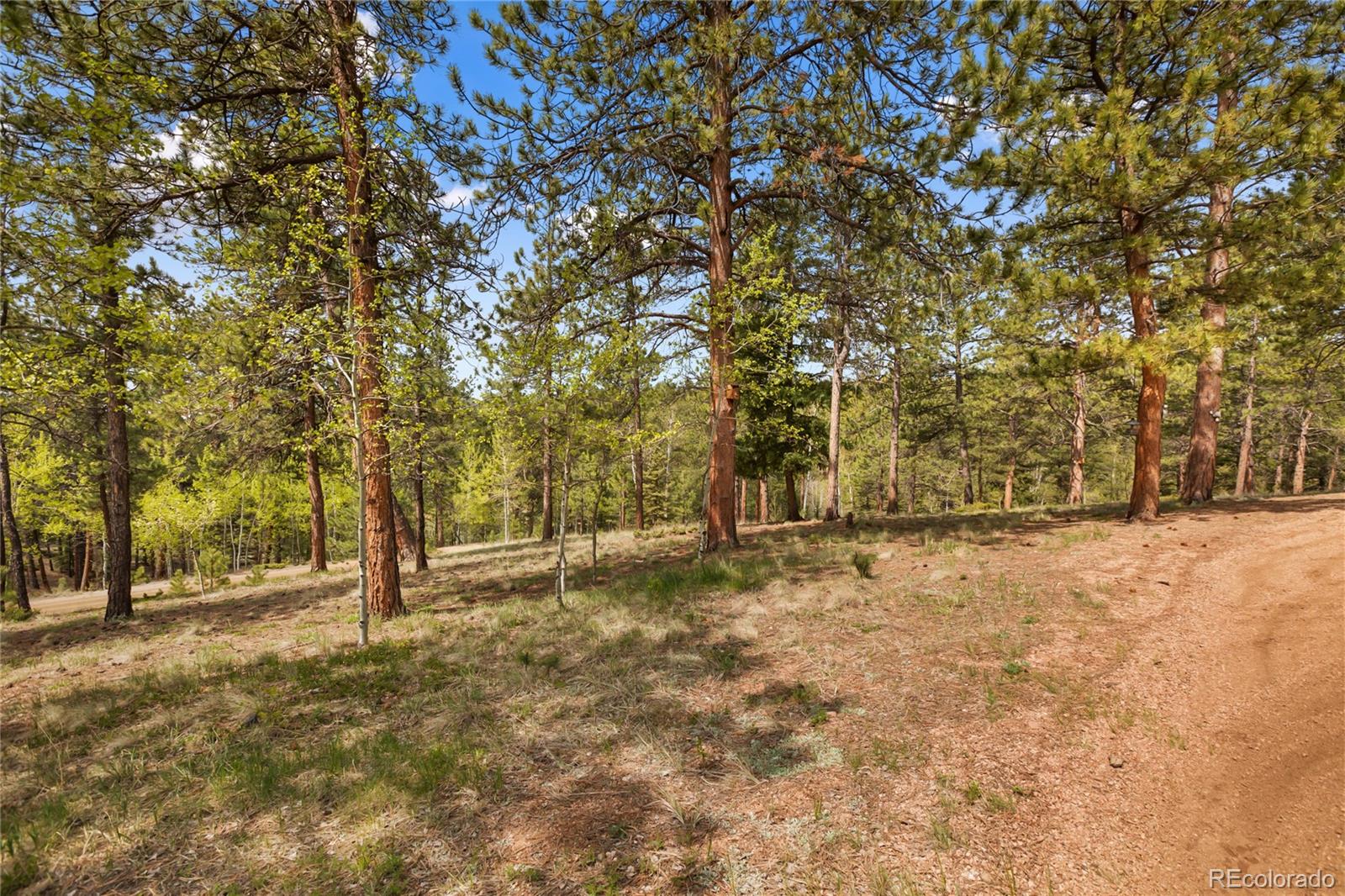 MLS Image #8 for 381  saddleback creek drive,florissant, Colorado