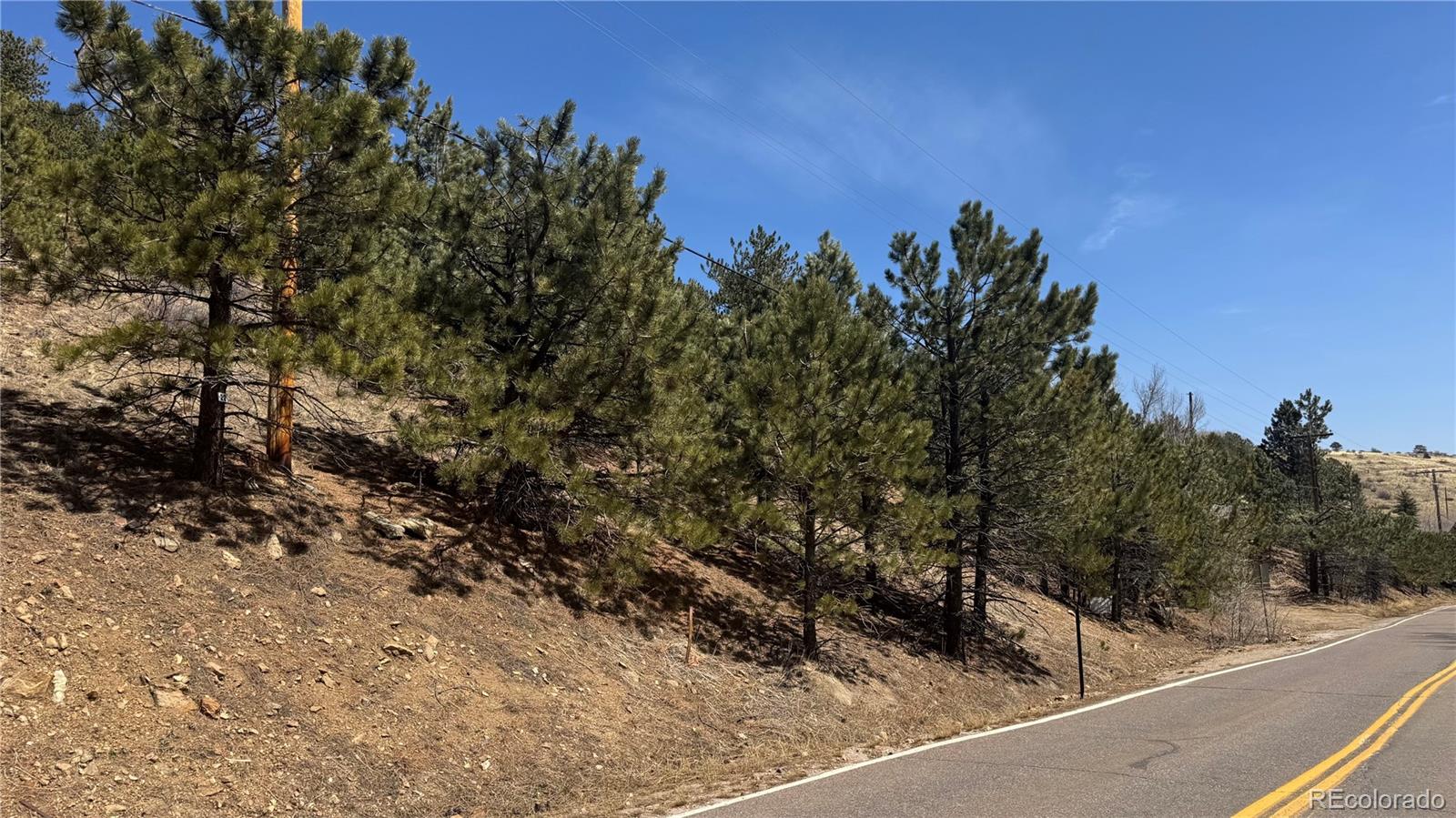 MLS Image #10 for 591  eureka street,central city, Colorado
