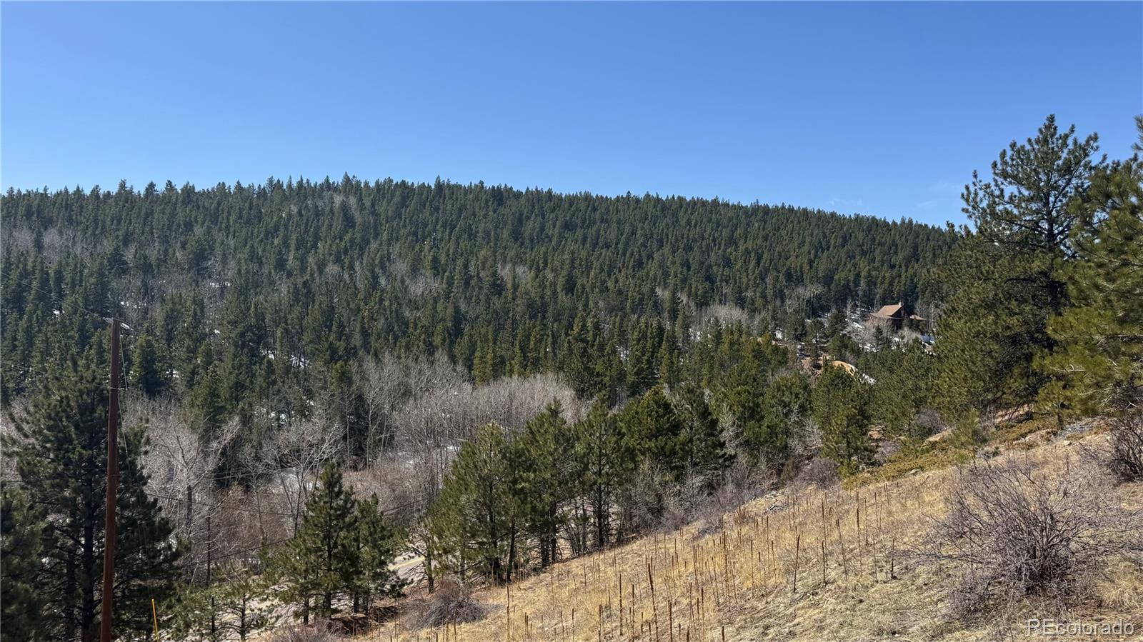 MLS Image #4 for 591  eureka street,central city, Colorado