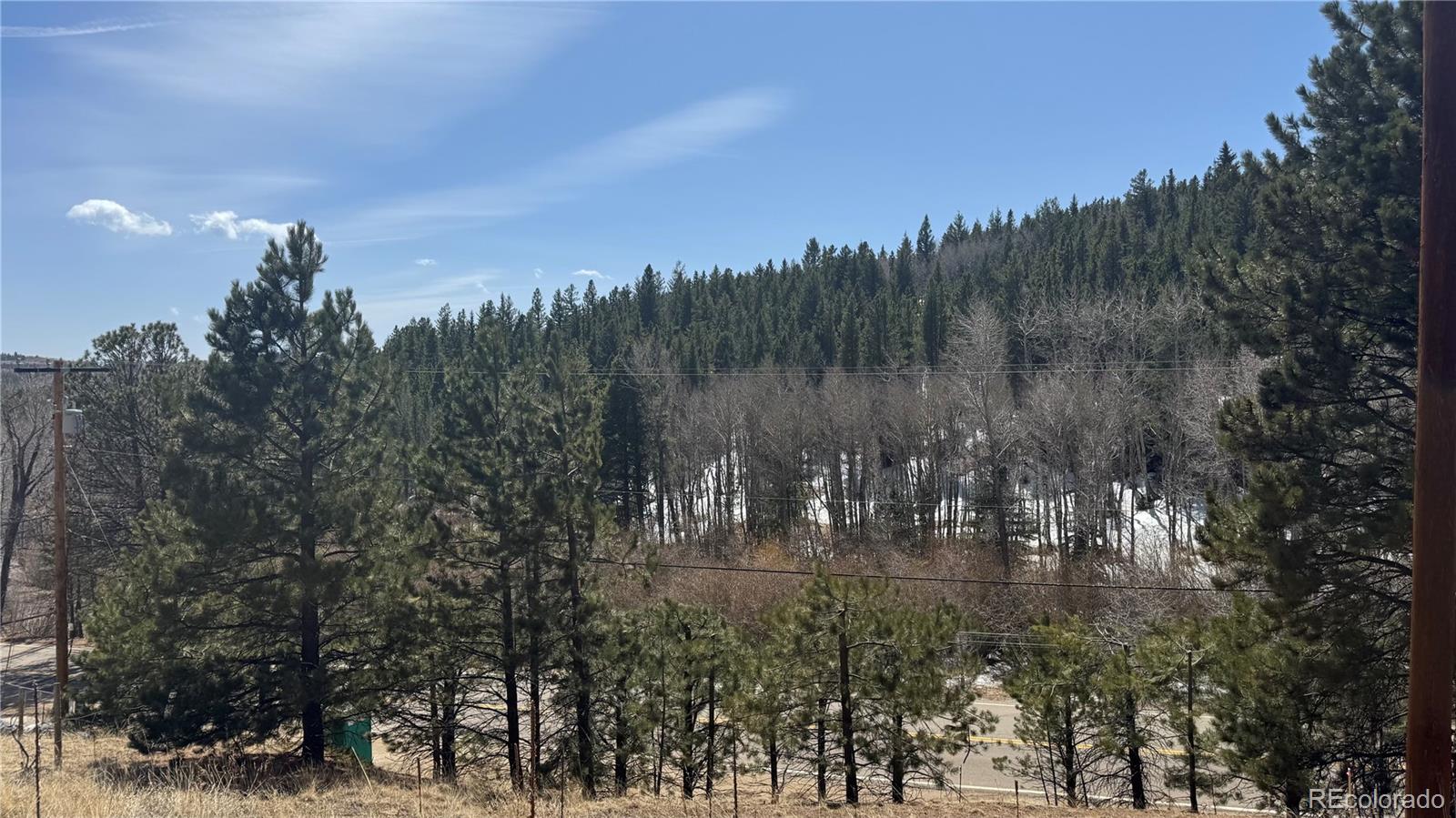 MLS Image #5 for 591  eureka street,central city, Colorado