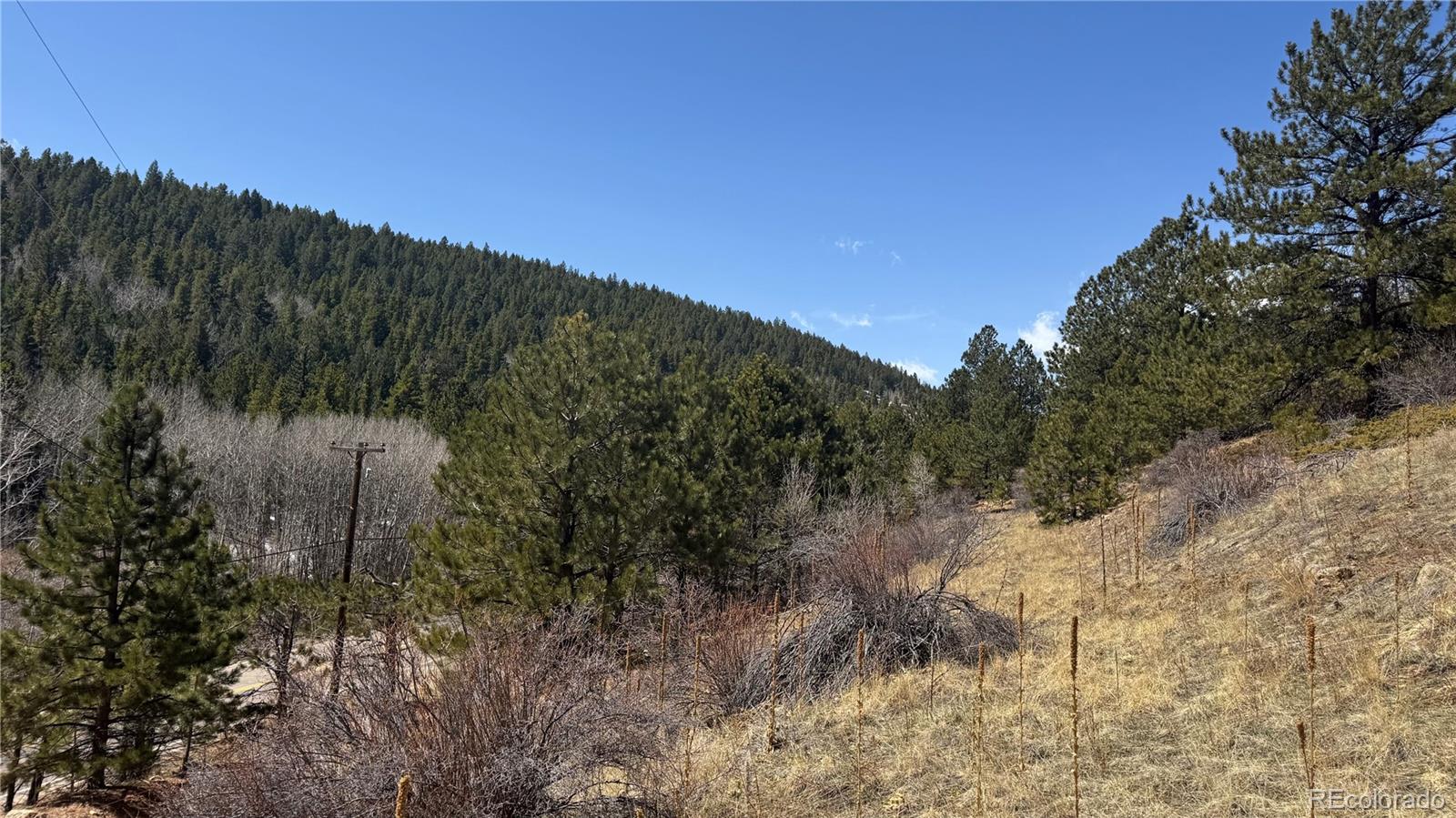 MLS Image #6 for 591  eureka street,central city, Colorado