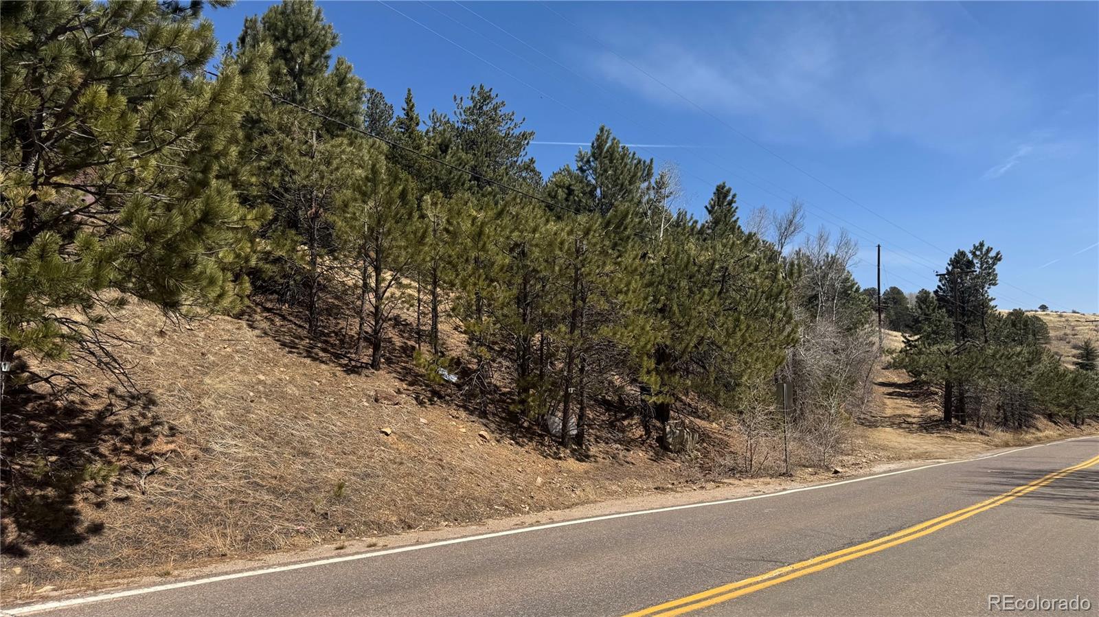 MLS Image #8 for 591  eureka street,central city, Colorado