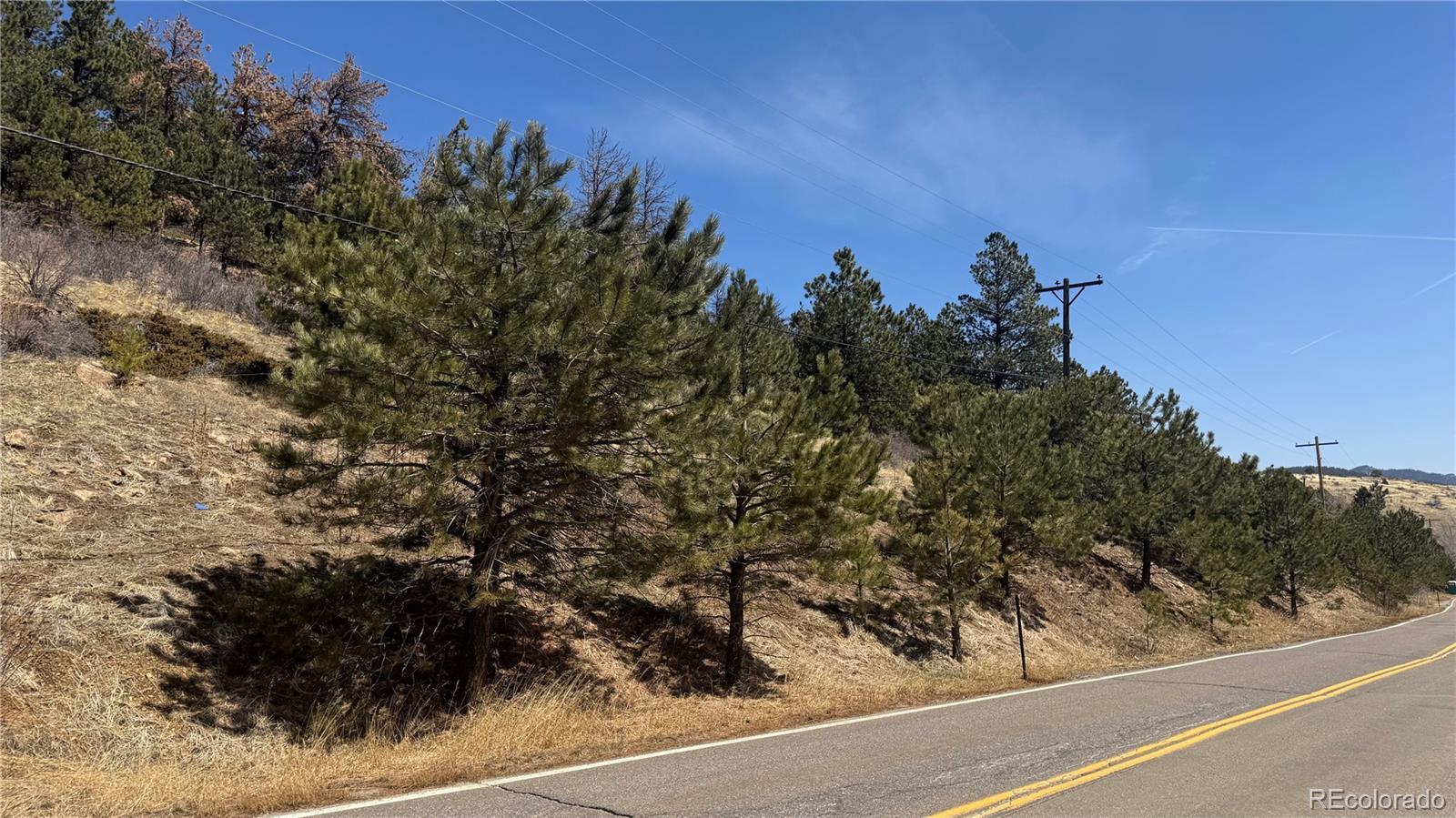 MLS Image #9 for 591  eureka street,central city, Colorado