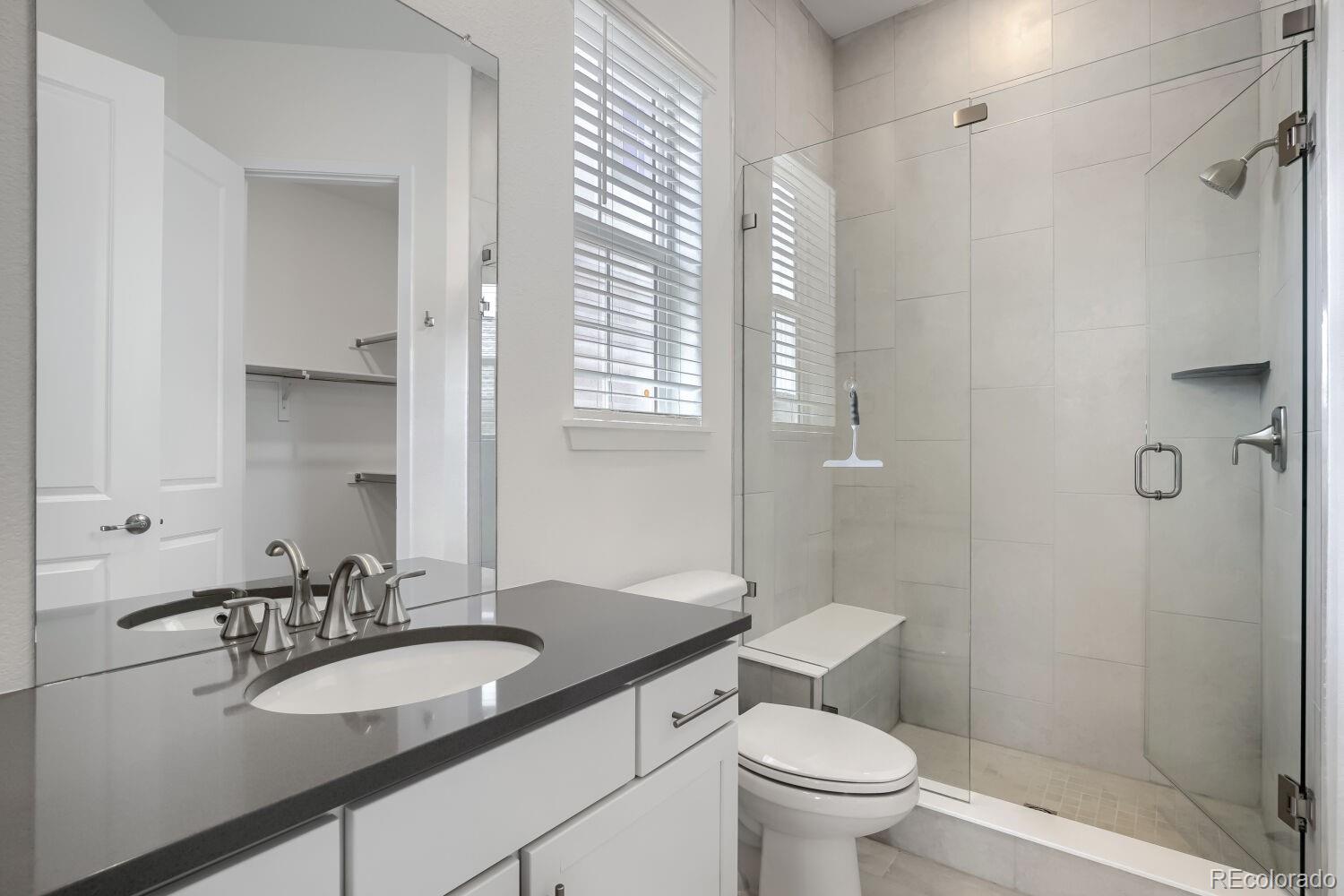 MLS Image #10 for 4217  buttongrass trail,castle rock, Colorado