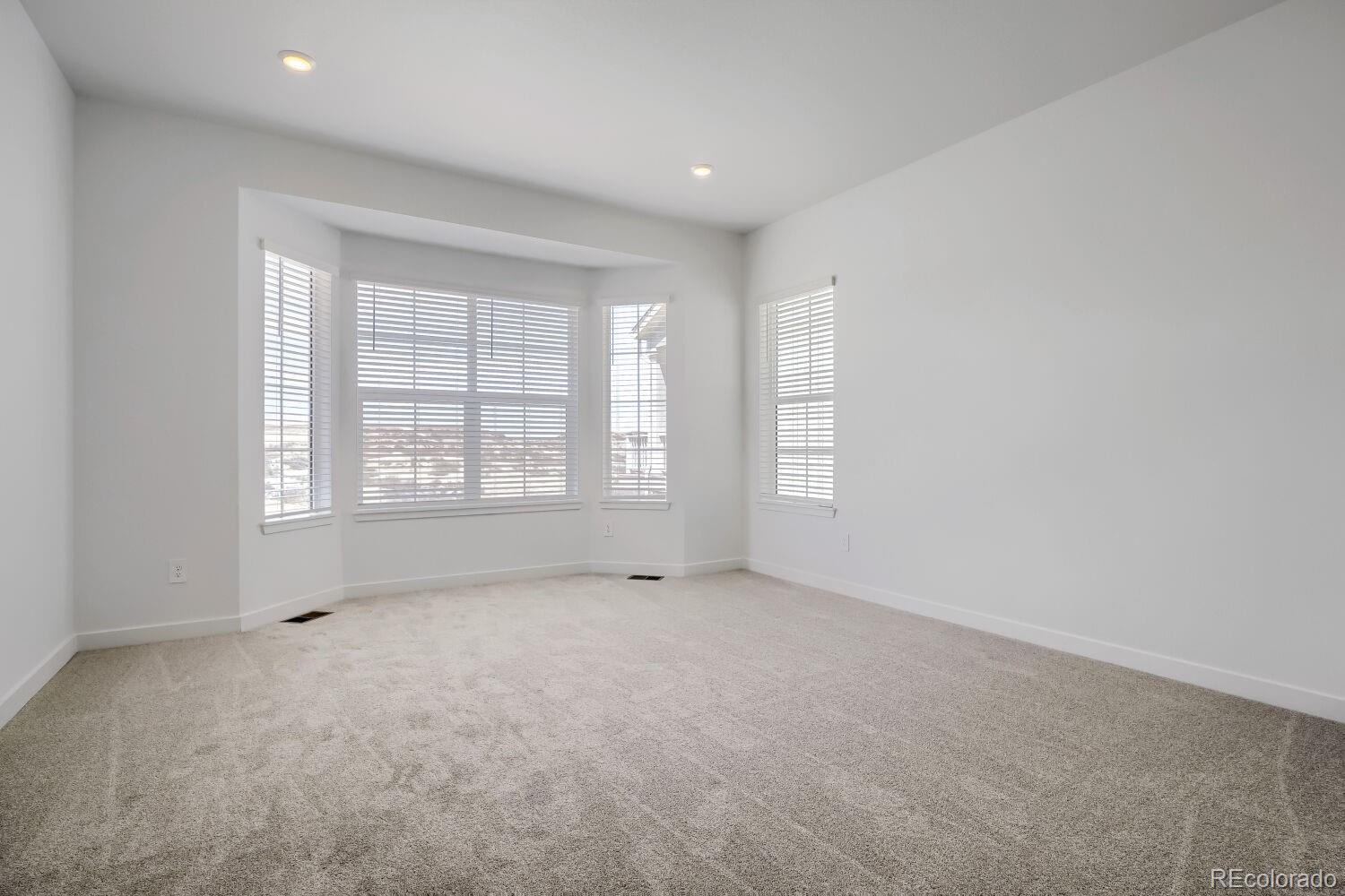 MLS Image #6 for 4217  buttongrass trail,castle rock, Colorado