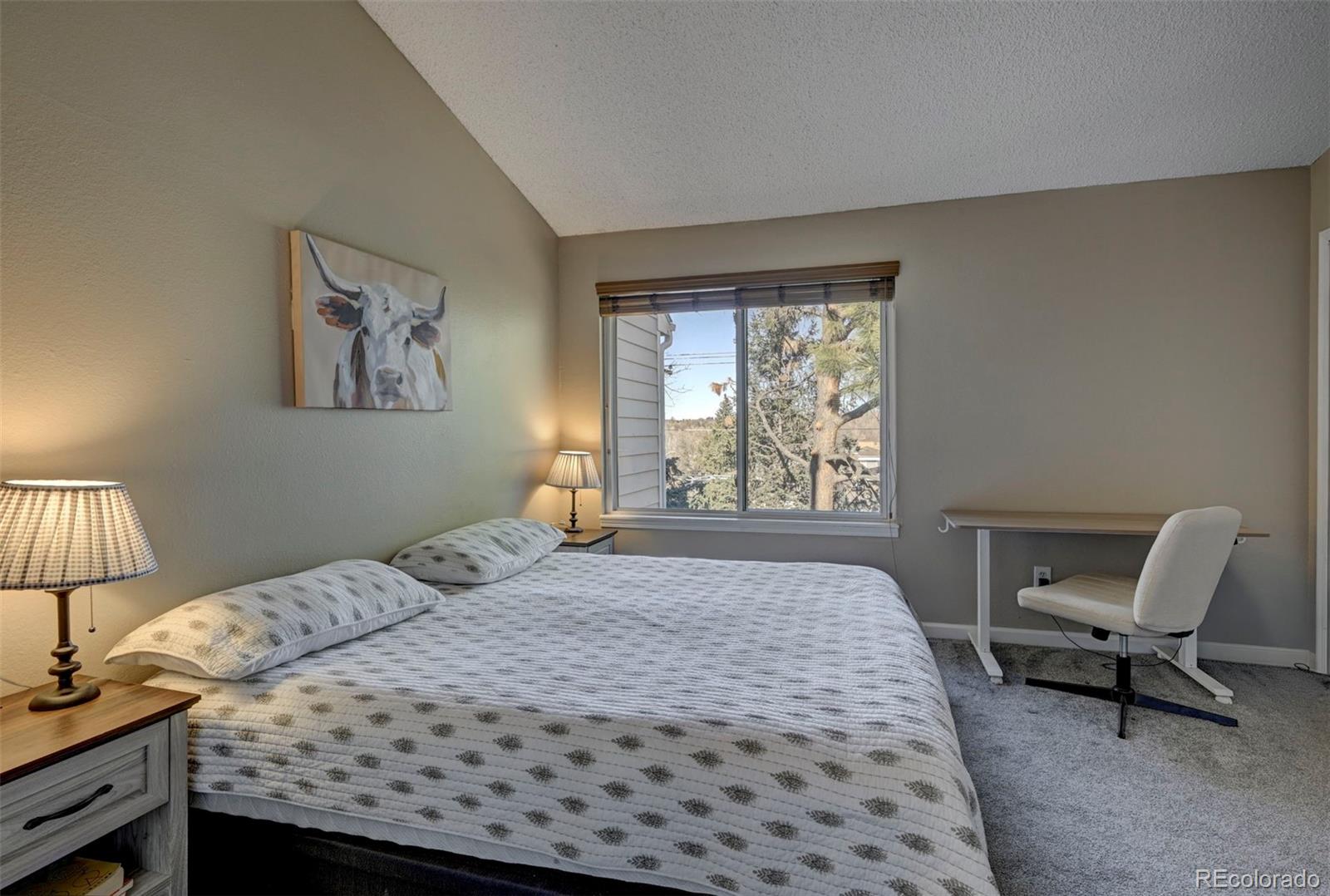MLS Image #20 for 524  shady crest circle,colorado springs, Colorado