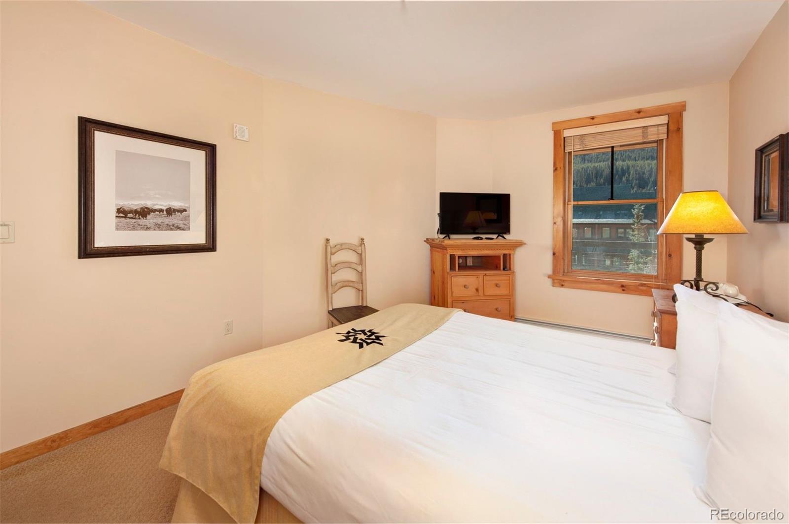 MLS Image #14 for 100  dercum square,keystone, Colorado