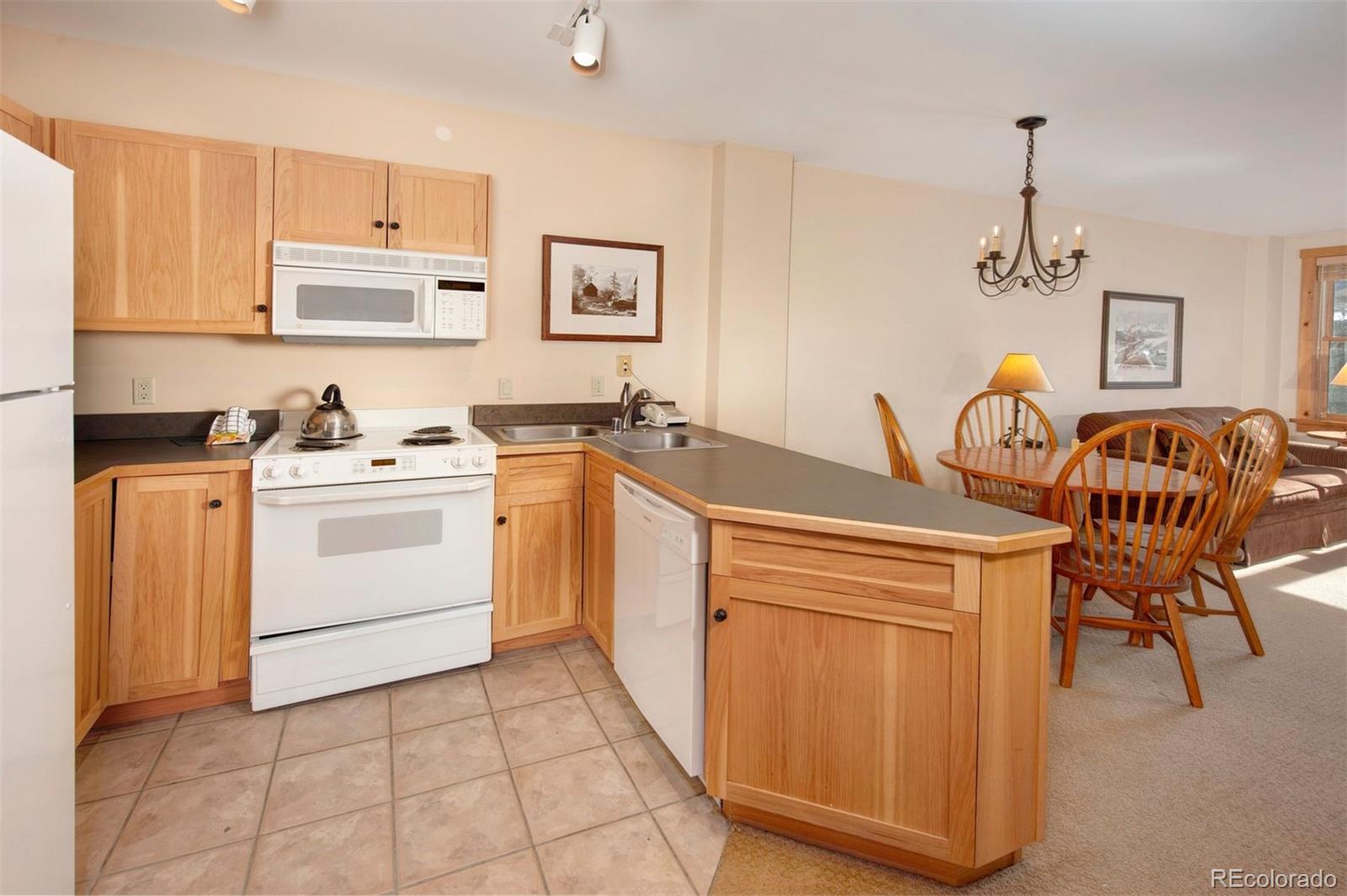 MLS Image #8 for 100  dercum square,keystone, Colorado
