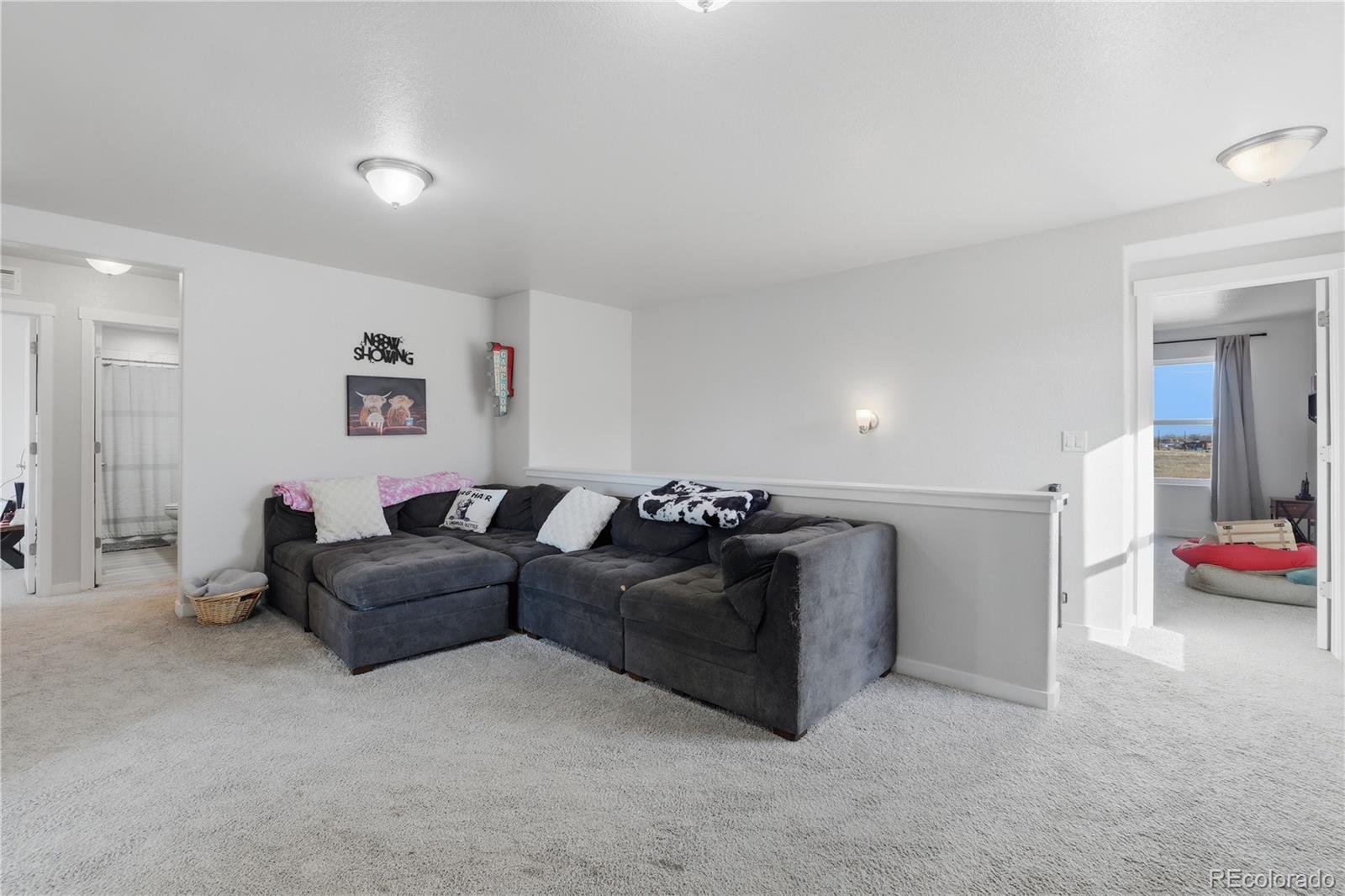 MLS Image #20 for 168  chipeta way,lochbuie, Colorado