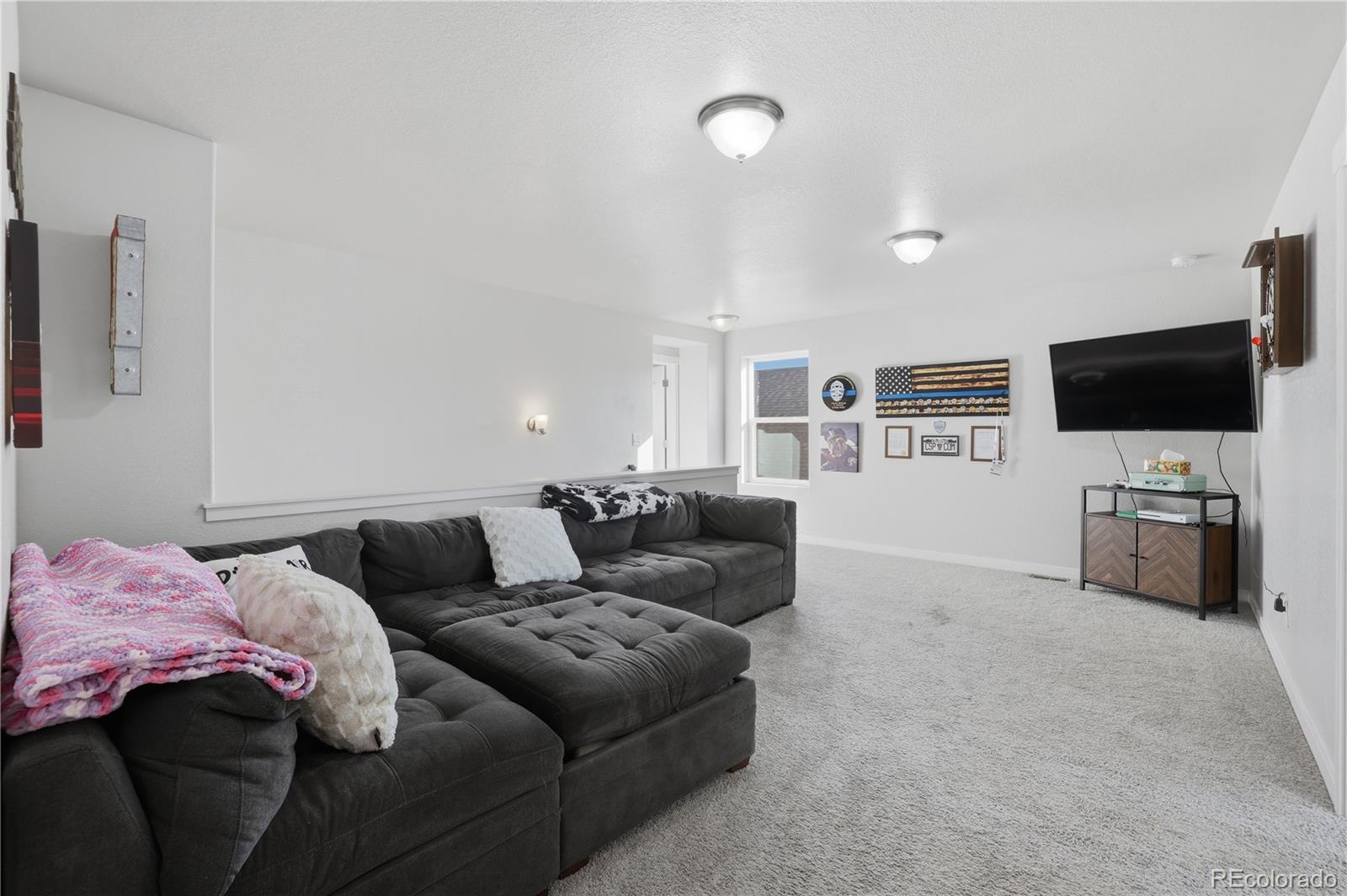 MLS Image #22 for 168  chipeta way,lochbuie, Colorado