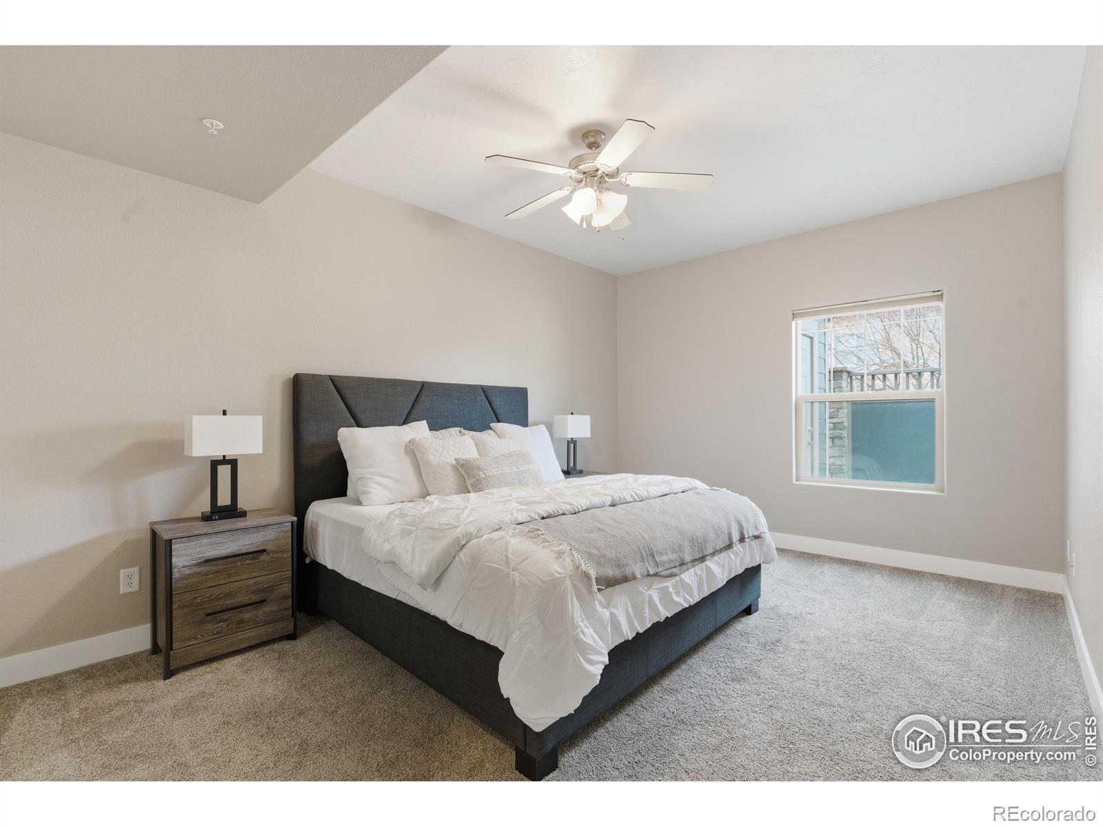 MLS Image #12 for 4101  crittenton lane,wellington, Colorado