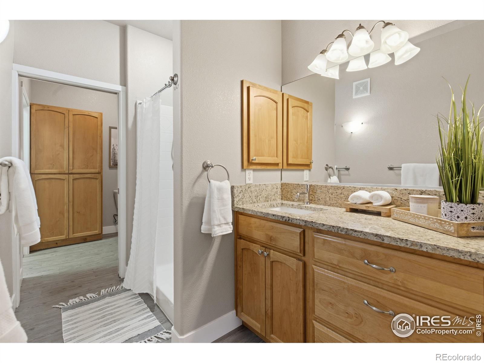 MLS Image #14 for 4101  crittenton lane,wellington, Colorado