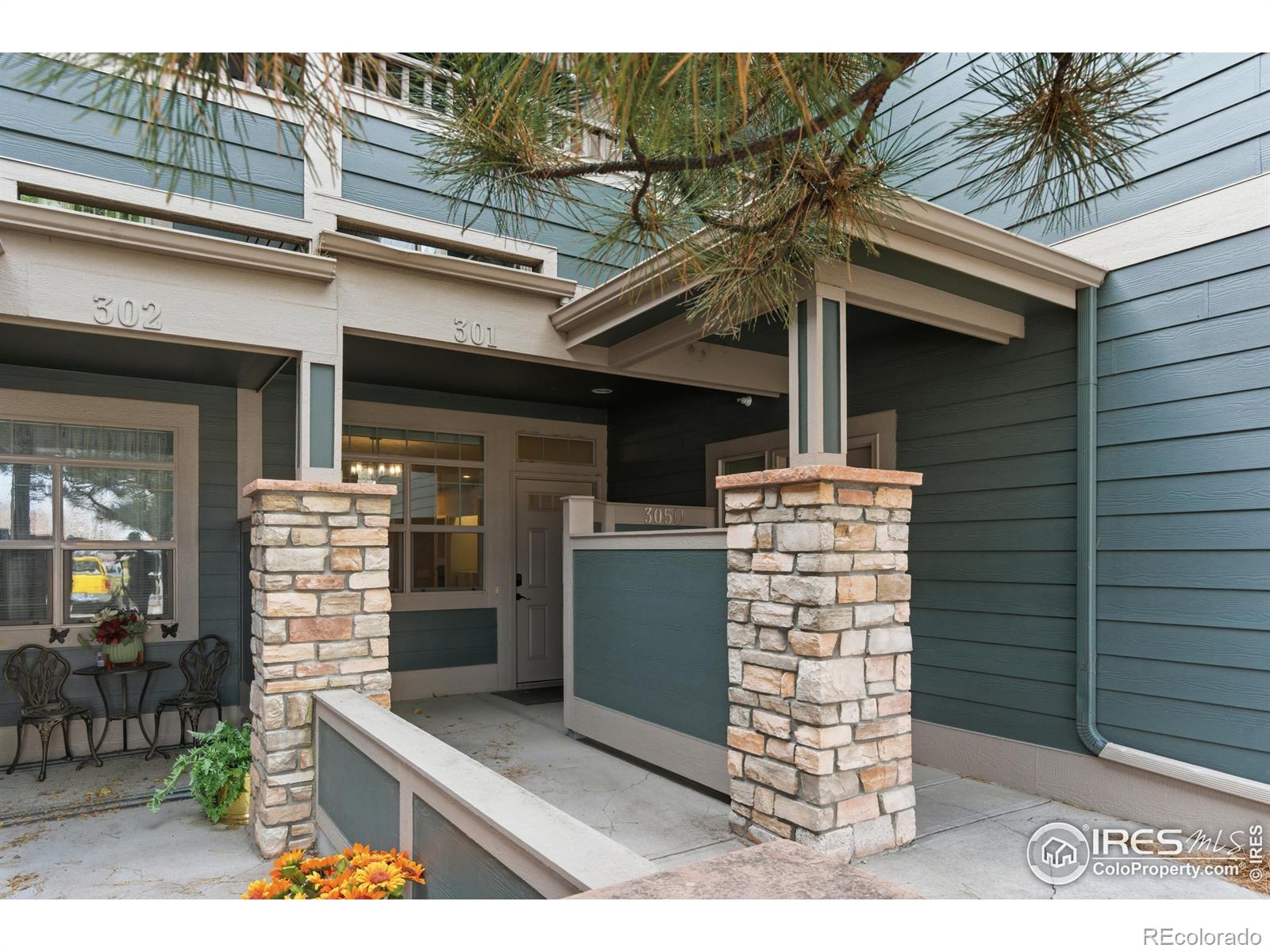 MLS Image #2 for 4101  crittenton lane,wellington, Colorado