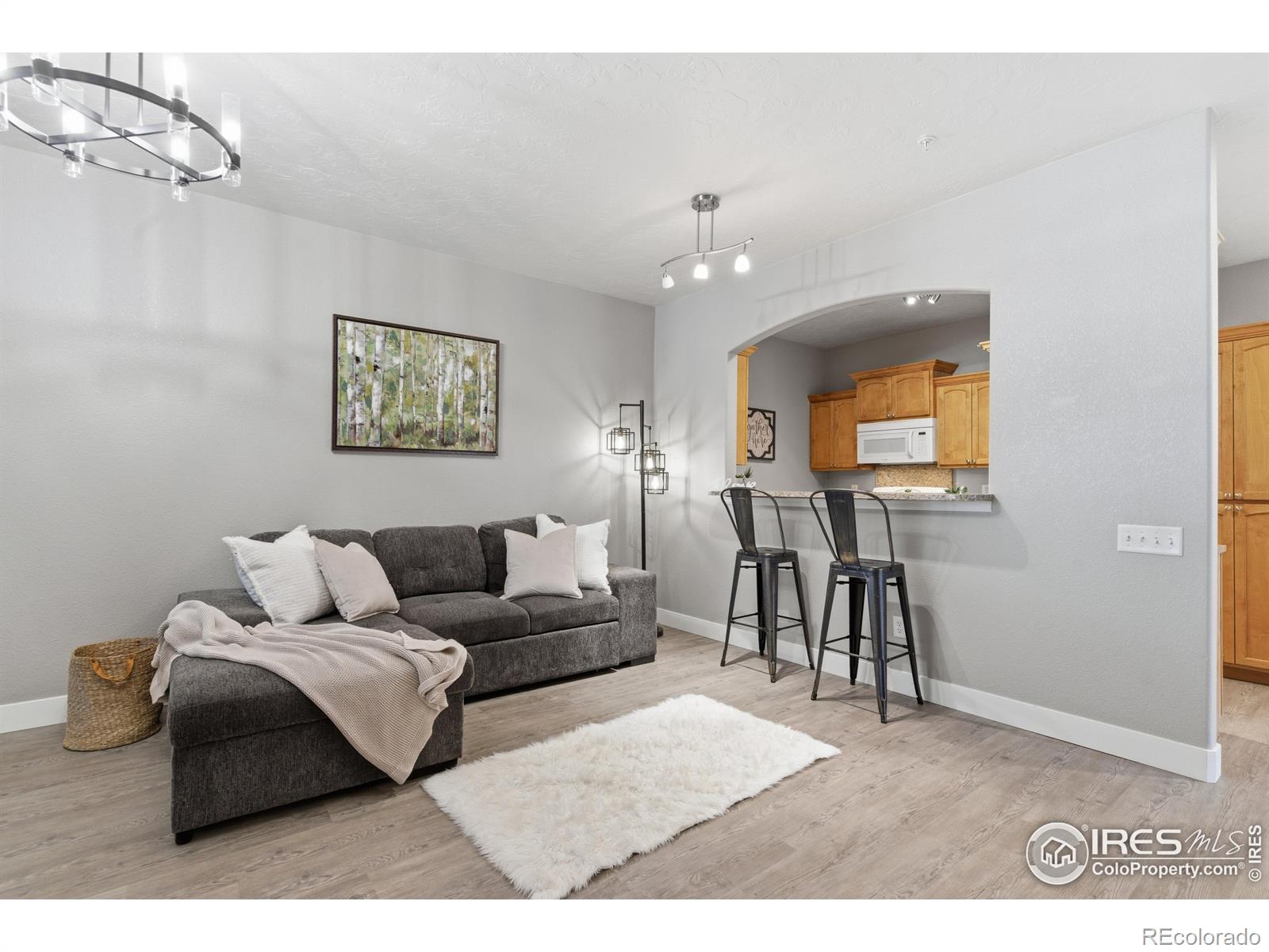 MLS Image #8 for 4101  crittenton lane,wellington, Colorado