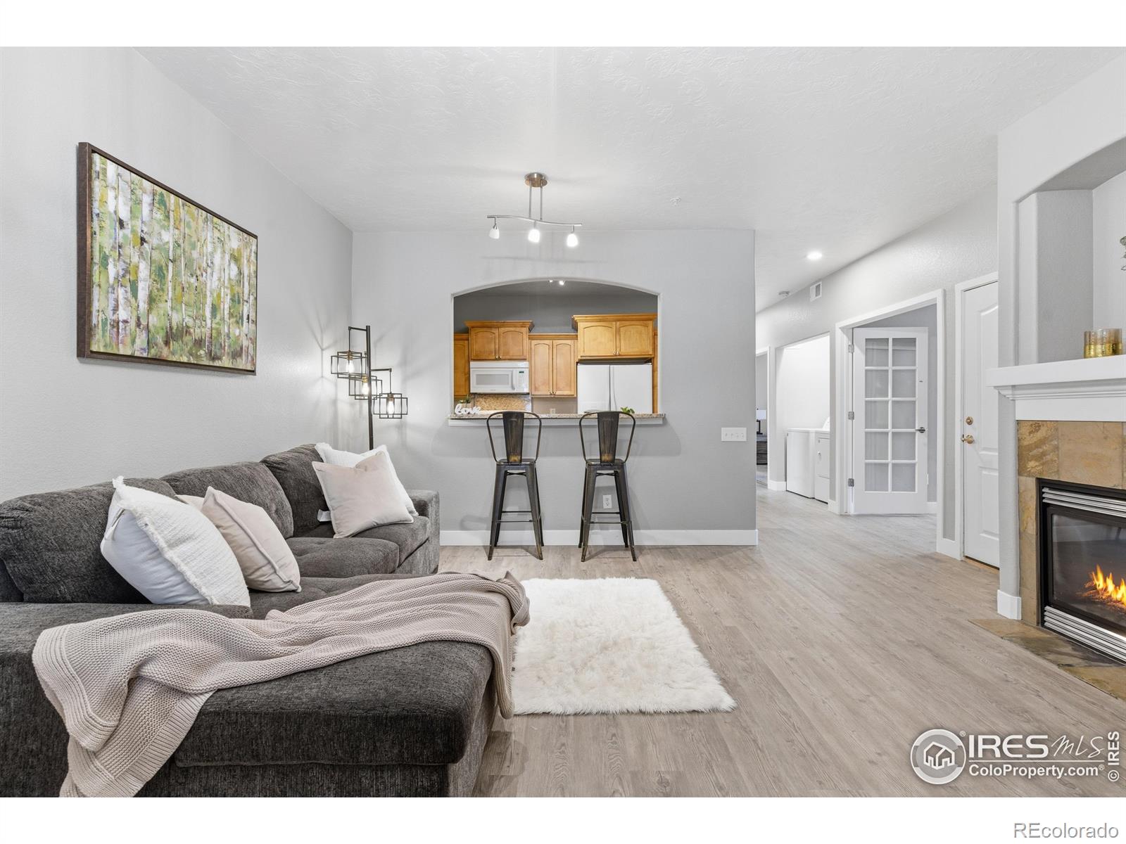 MLS Image #9 for 4101  crittenton lane,wellington, Colorado