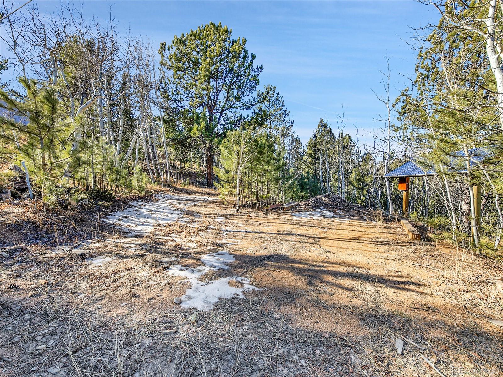 MLS Image #14 for 10  bartimous road,bailey, Colorado
