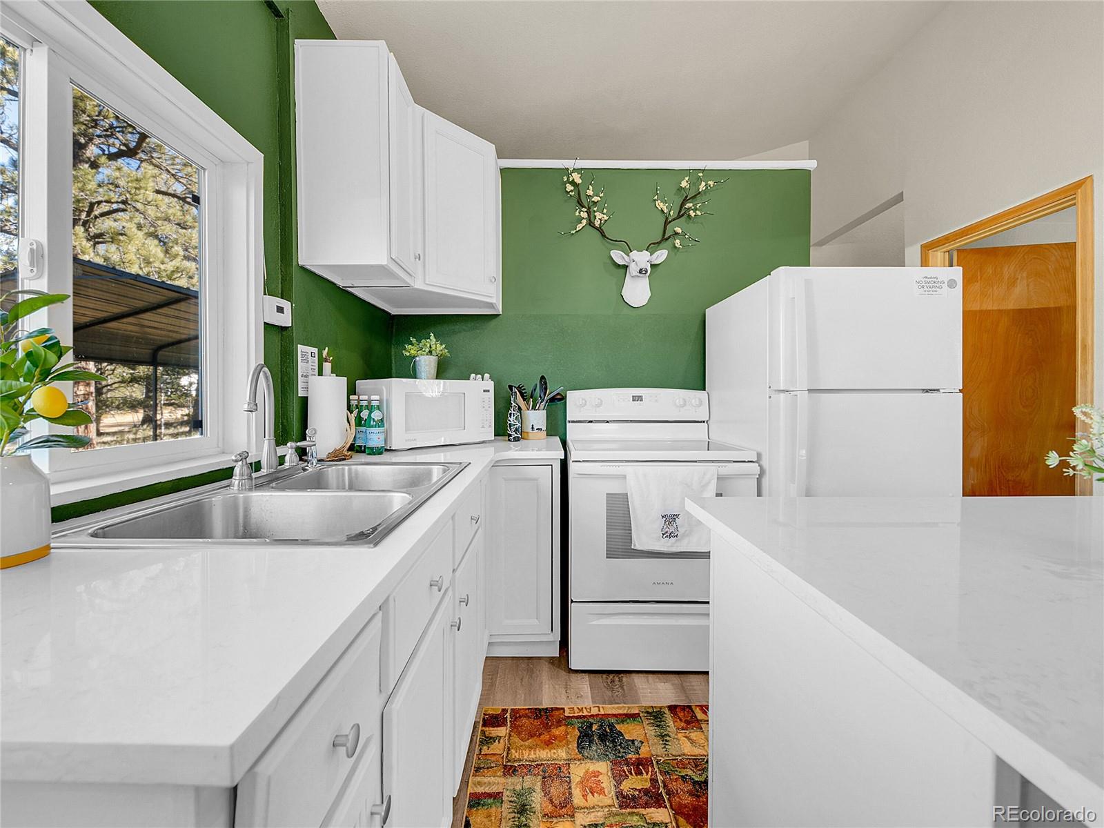 MLS Image #3 for 10  bartimous road,bailey, Colorado