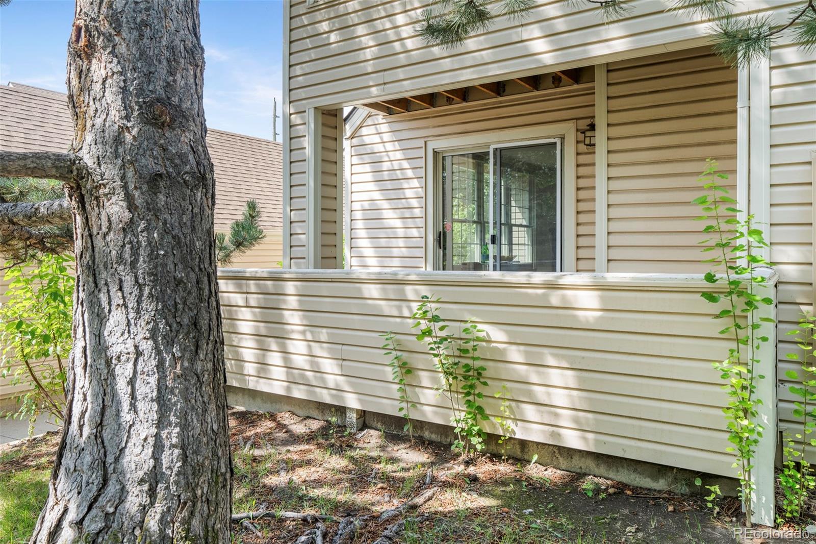MLS Image #20 for 995 s miller street 101,lakewood, Colorado