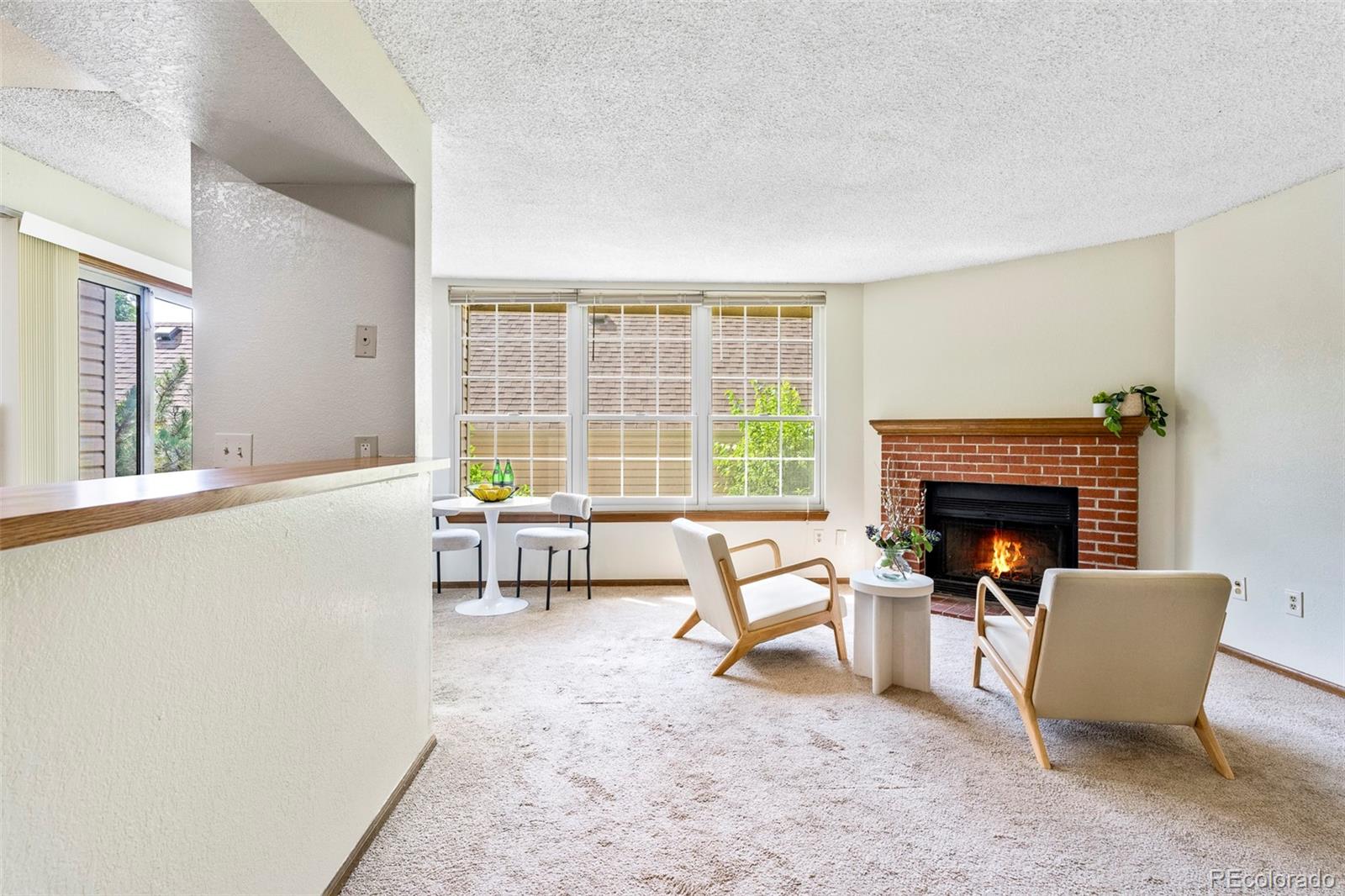 MLS Image #5 for 995 s miller street 101,lakewood, Colorado
