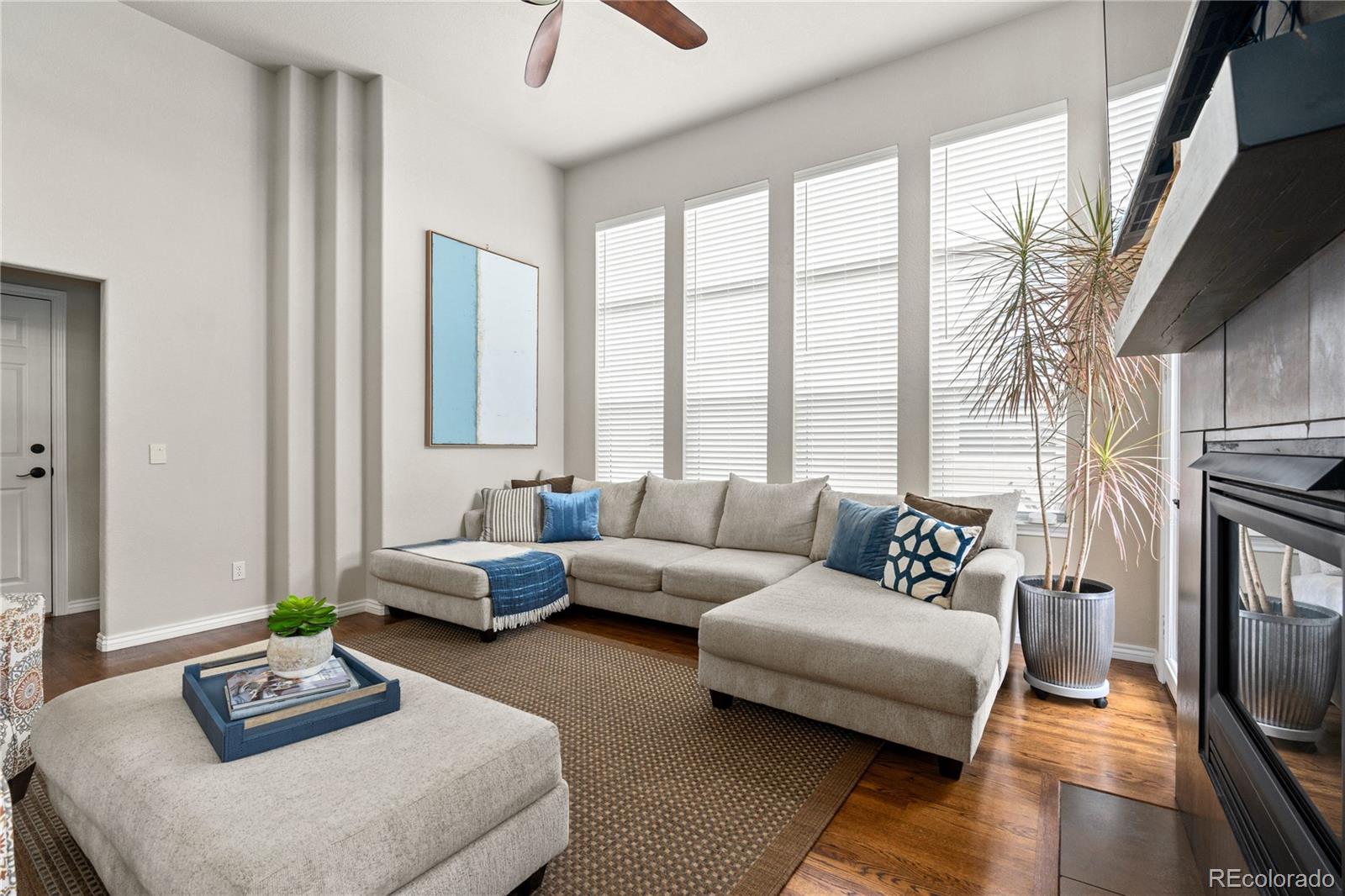 MLS Image #9 for 6874  raspberry run,littleton, Colorado