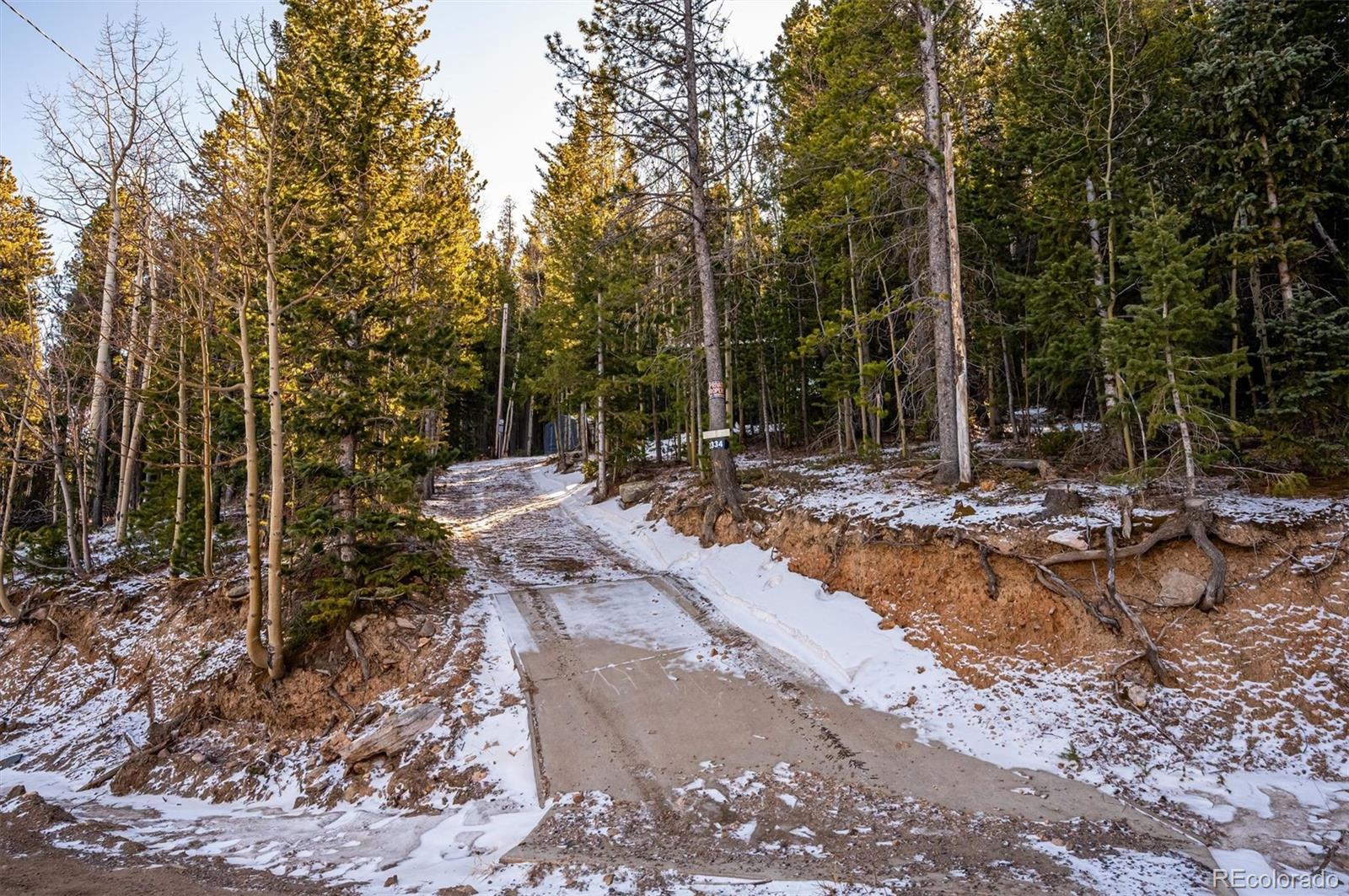 MLS Image #12 for 2334  sinton road,evergreen, Colorado