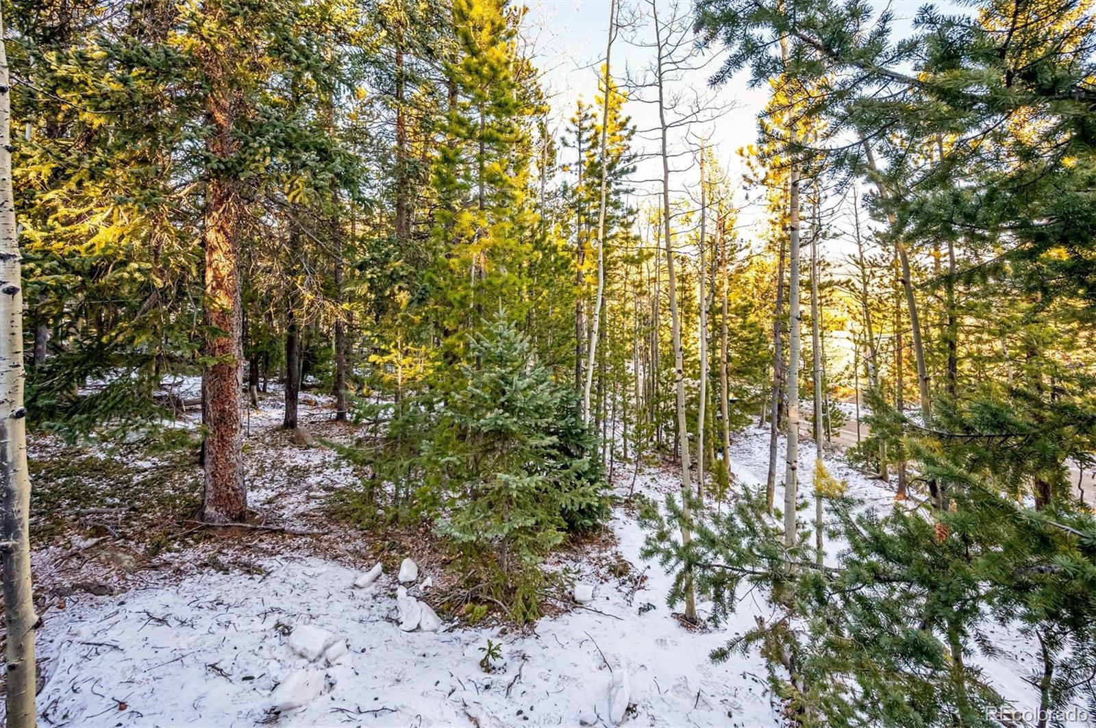MLS Image #19 for 2334  sinton road,evergreen, Colorado