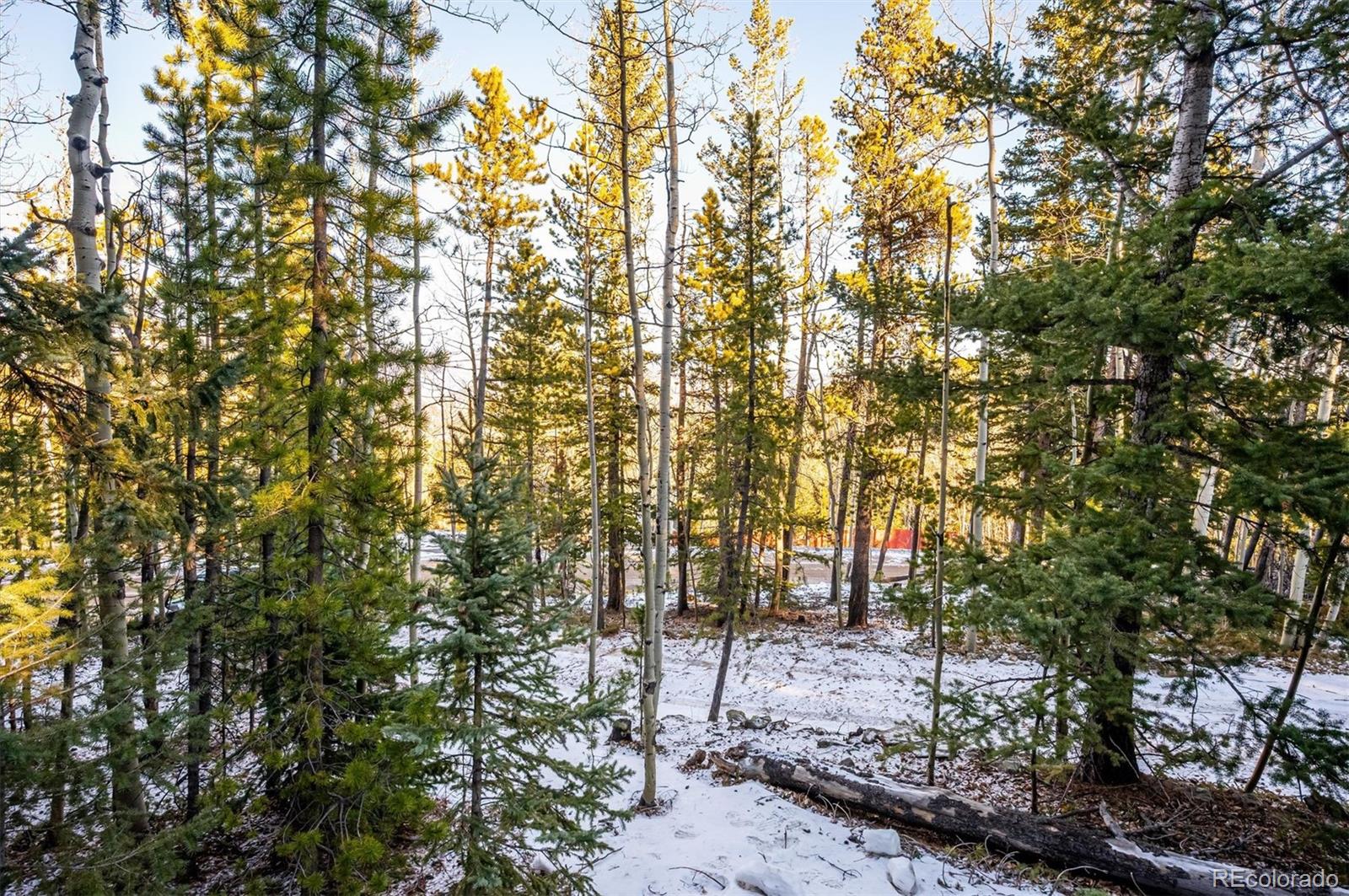 MLS Image #20 for 2334  sinton road,evergreen, Colorado