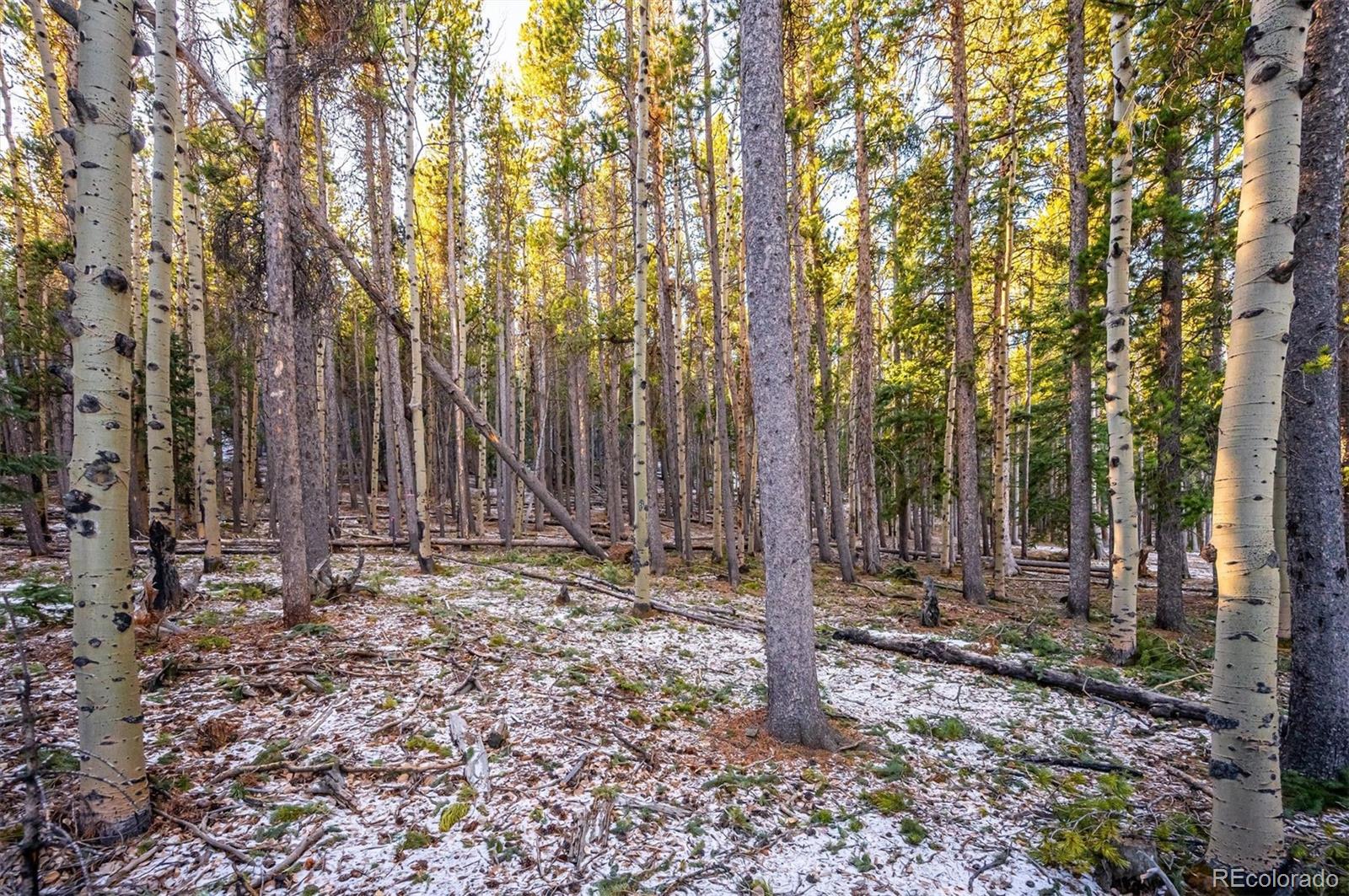 MLS Image #24 for 2334  sinton road,evergreen, Colorado