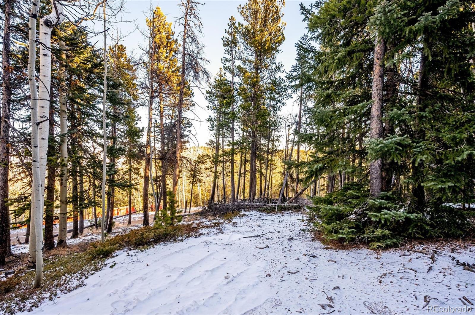 MLS Image #25 for 2334  sinton road,evergreen, Colorado