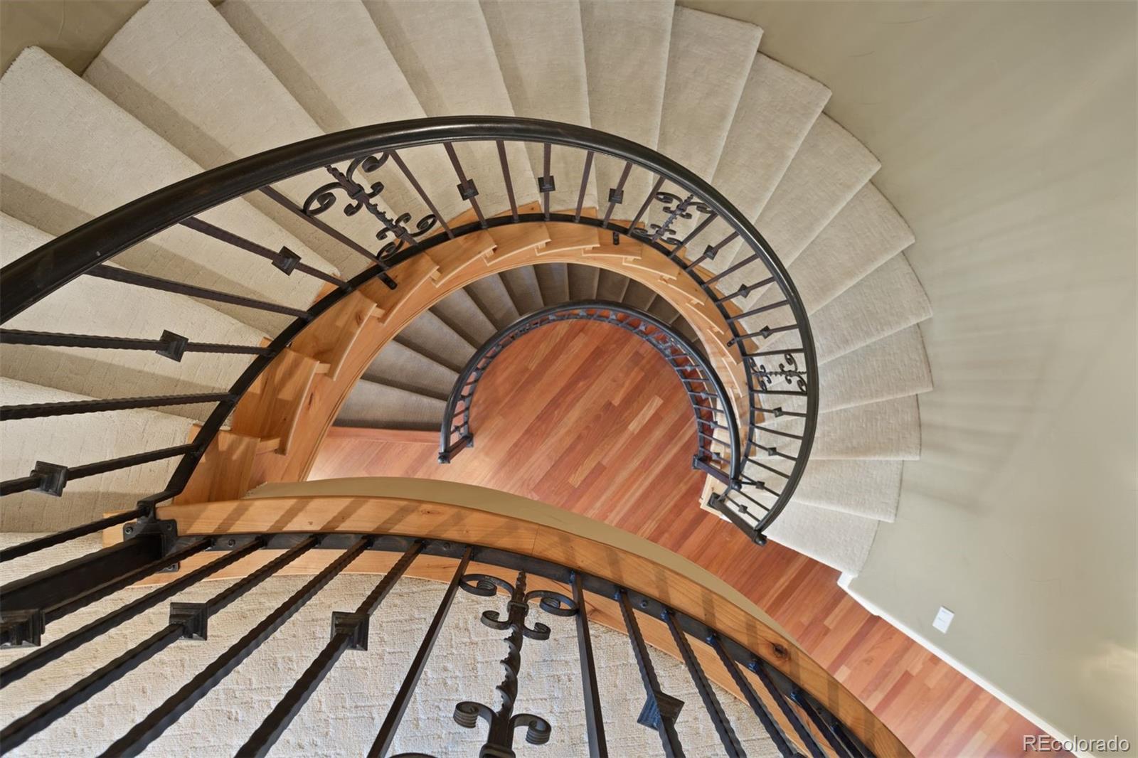 MLS Image #15 for 4605  tierra alta drive,castle rock, Colorado