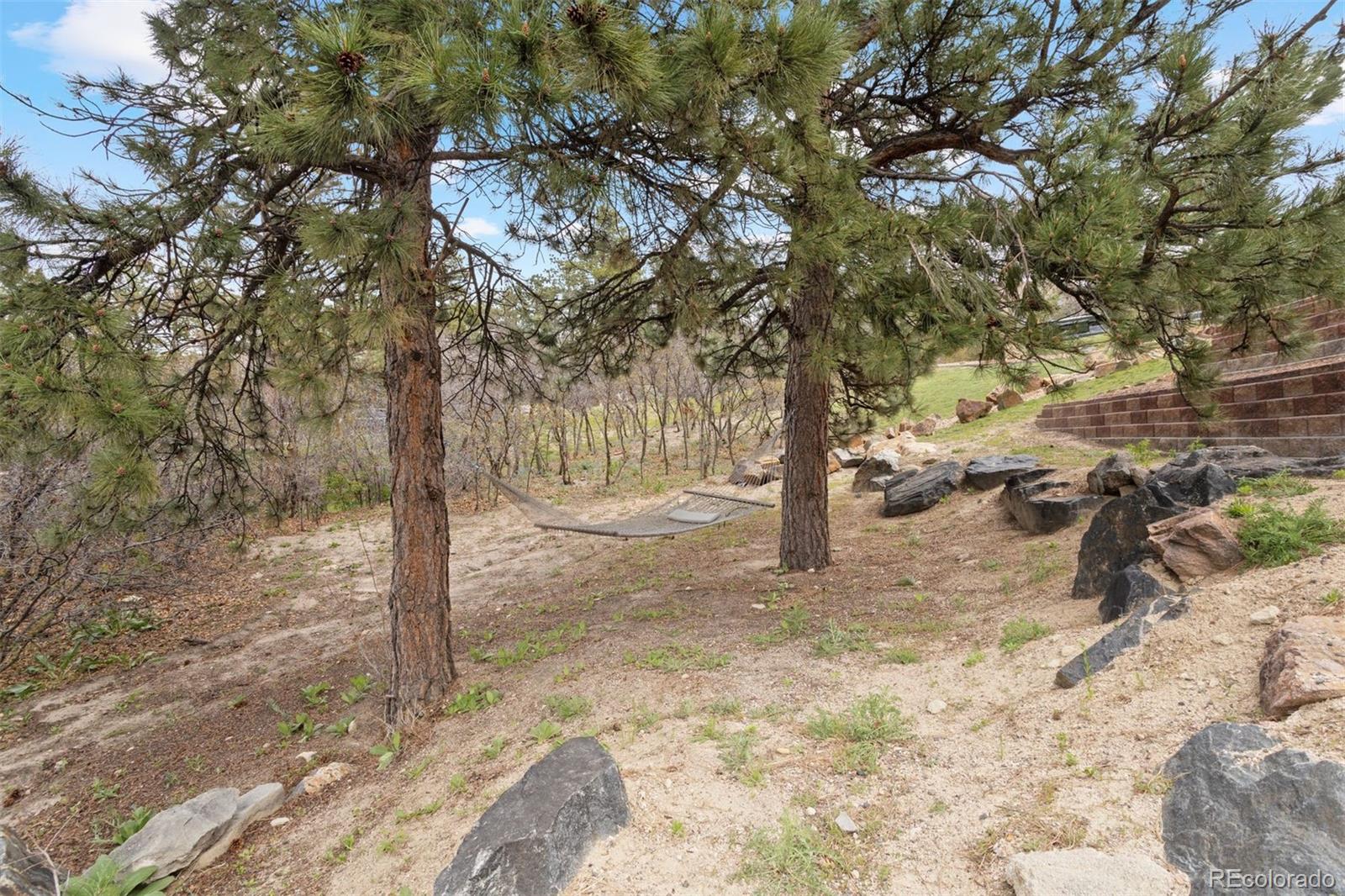 MLS Image #27 for 4605  tierra alta drive,castle rock, Colorado