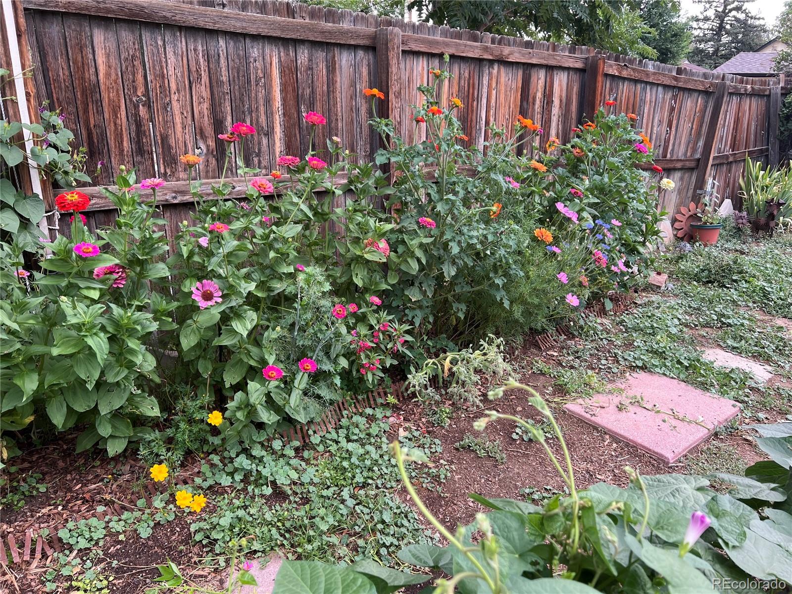 MLS Image #26 for 1258  valentia street,denver, Colorado