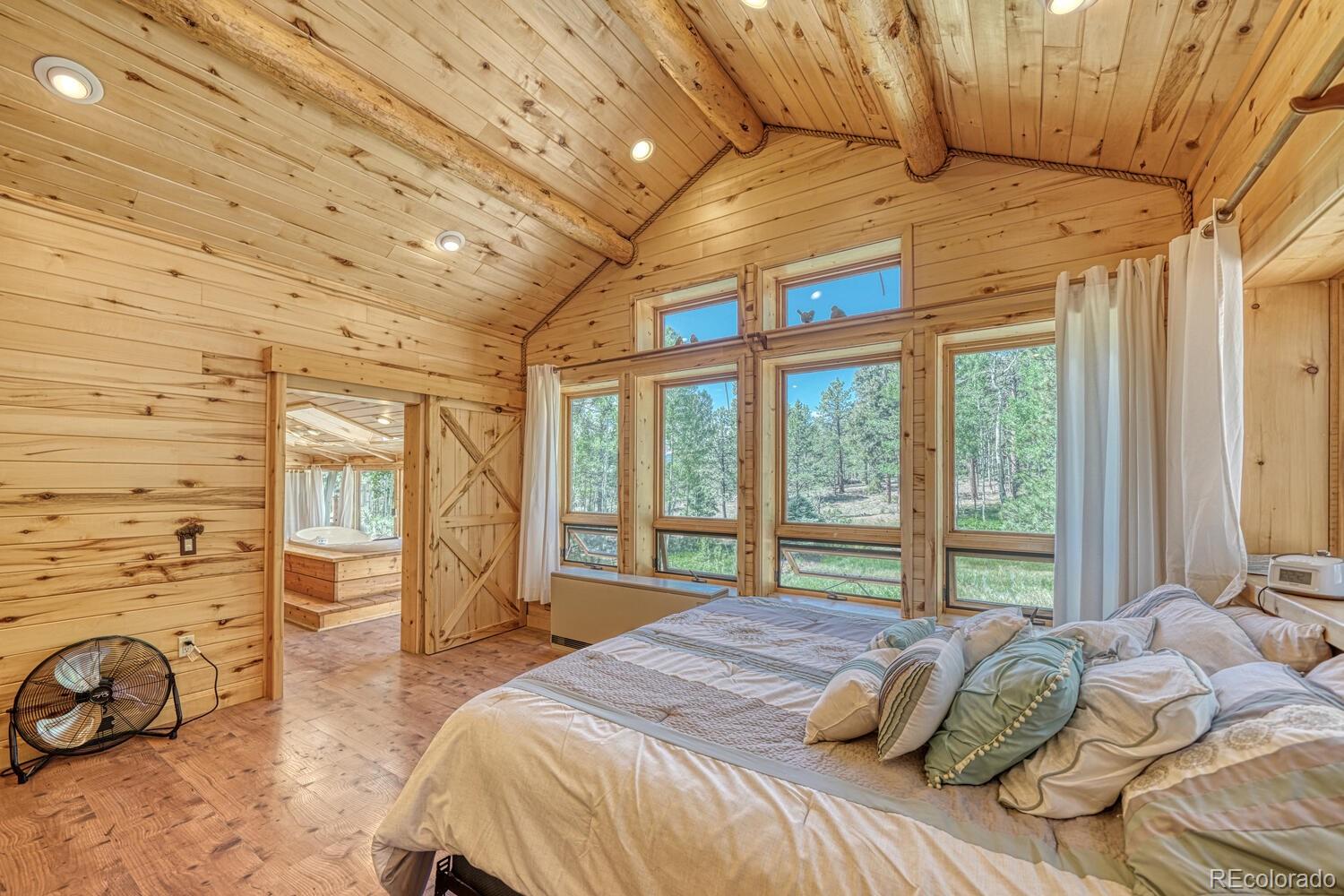 MLS Image #17 for 18480  ponderosa ,buena vista, Colorado