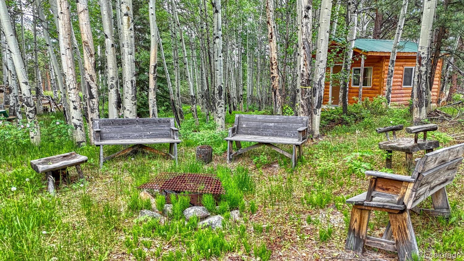 MLS Image #23 for 18480  ponderosa ,buena vista, Colorado