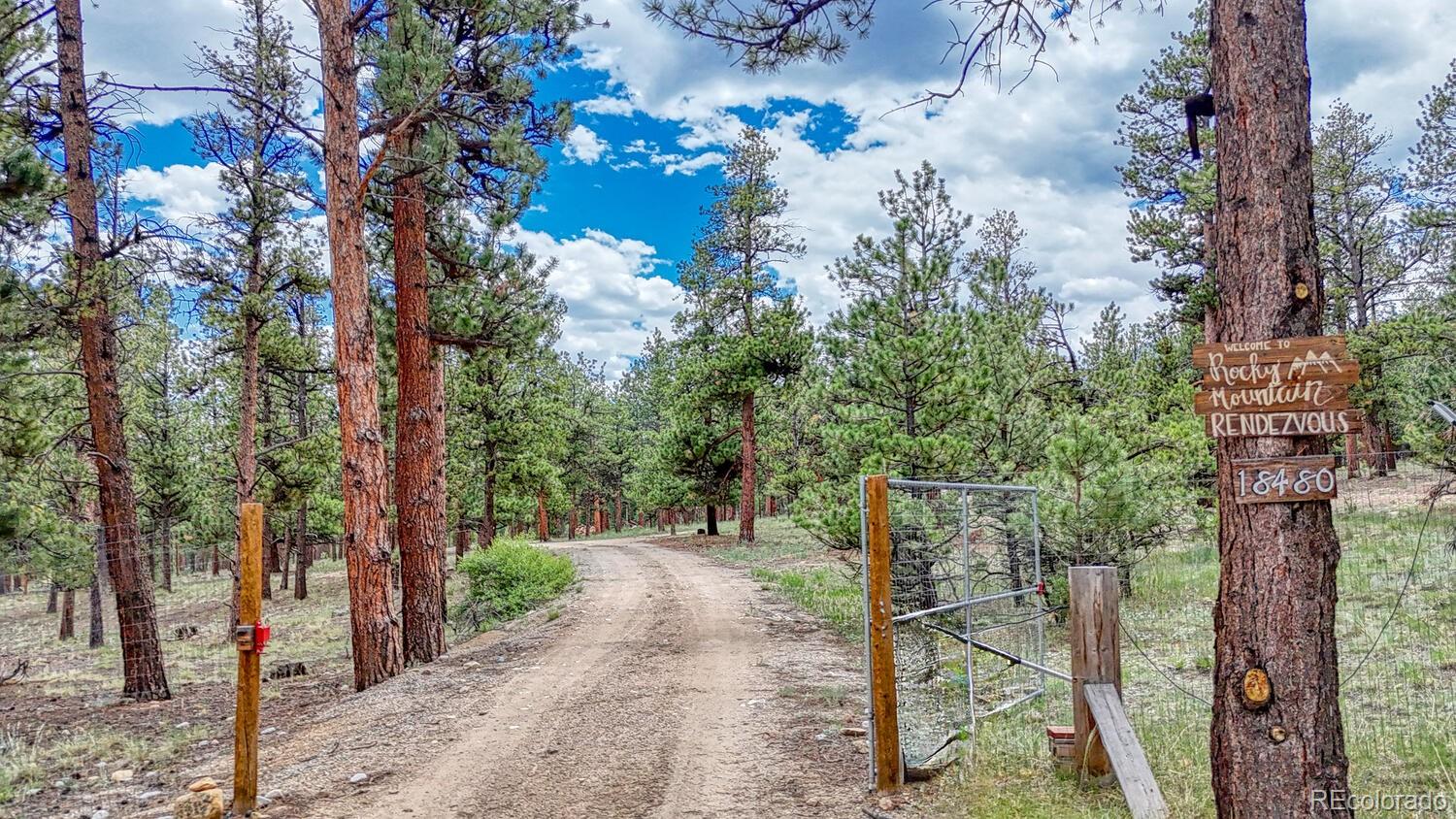 MLS Image #26 for 18480  ponderosa ,buena vista, Colorado