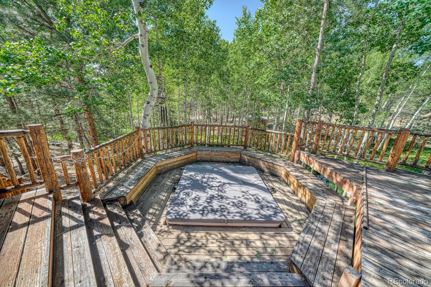 MLS Image #6 for 18480  ponderosa ,buena vista, Colorado