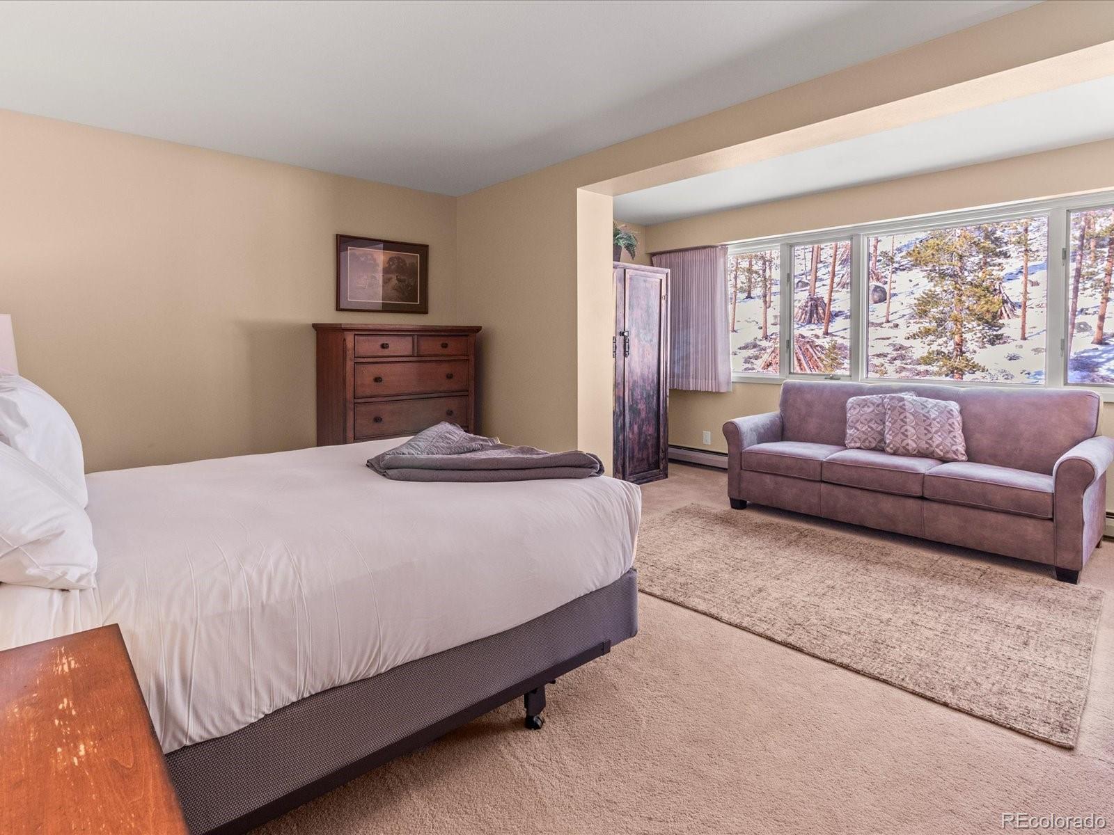 MLS Image #10 for 22097  saints john road,dillon, Colorado