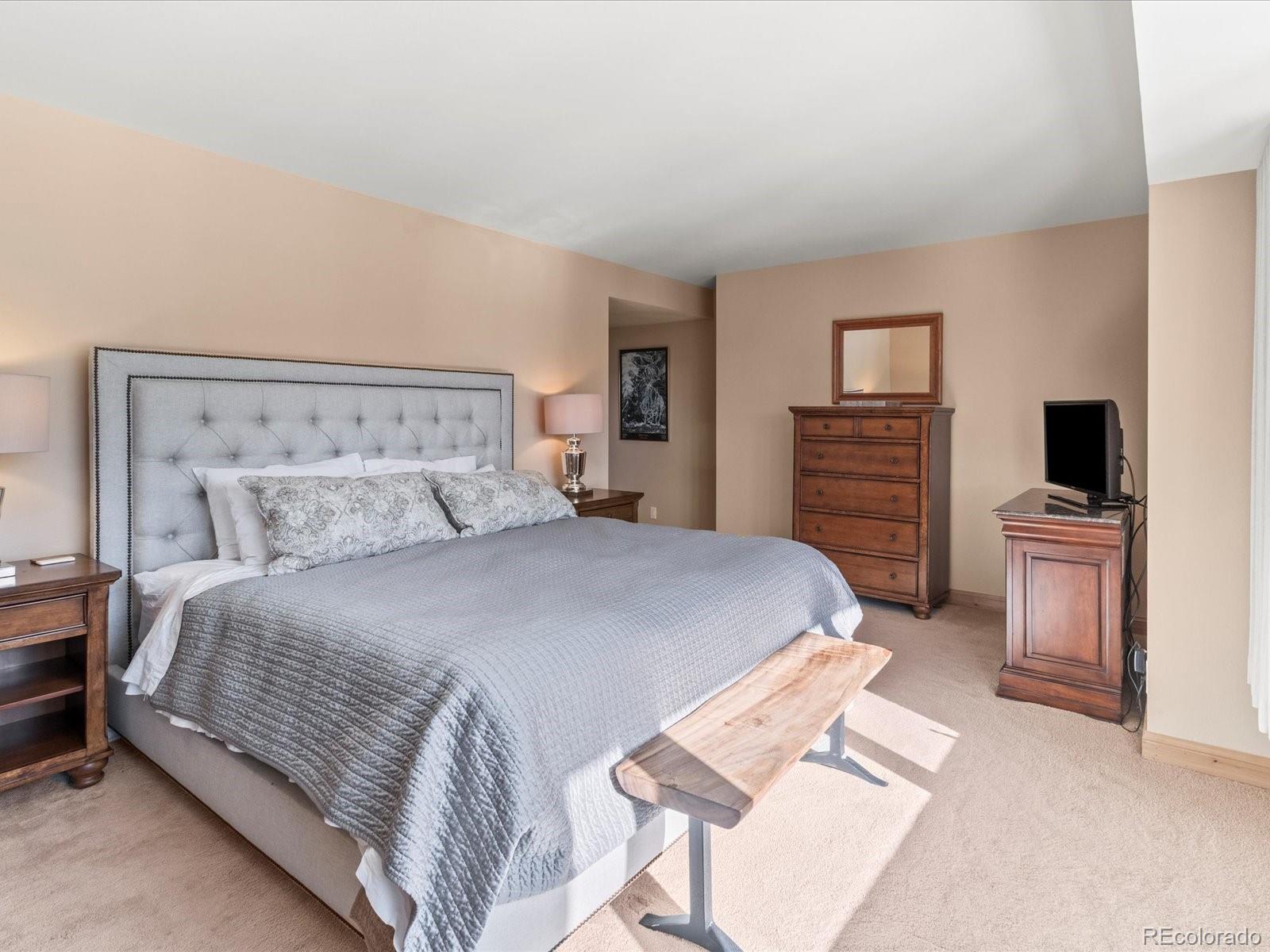 MLS Image #11 for 22097  saints john road,dillon, Colorado