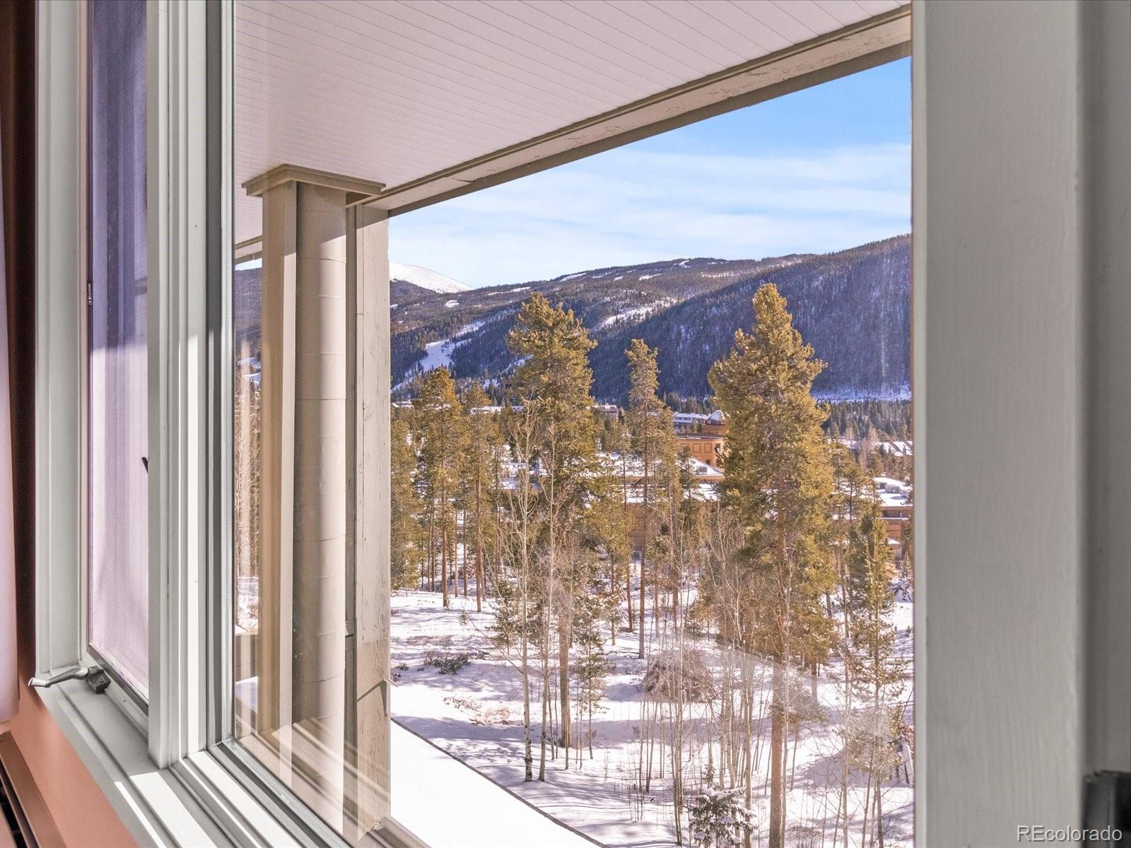 MLS Image #16 for 22097  saints john road,dillon, Colorado