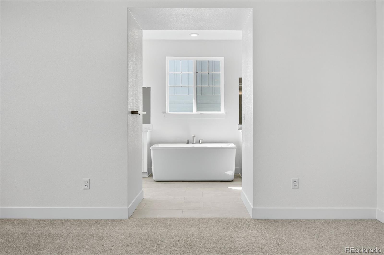 MLS Image #21 for 3438  backdrop court,castle rock, Colorado