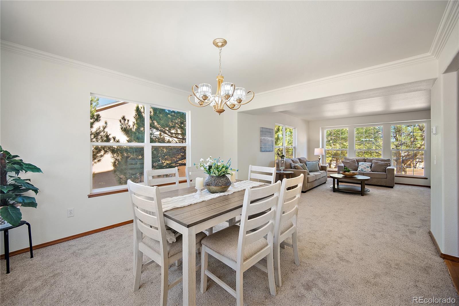 MLS Image #7 for 5630  mercer drive,colorado springs, Colorado